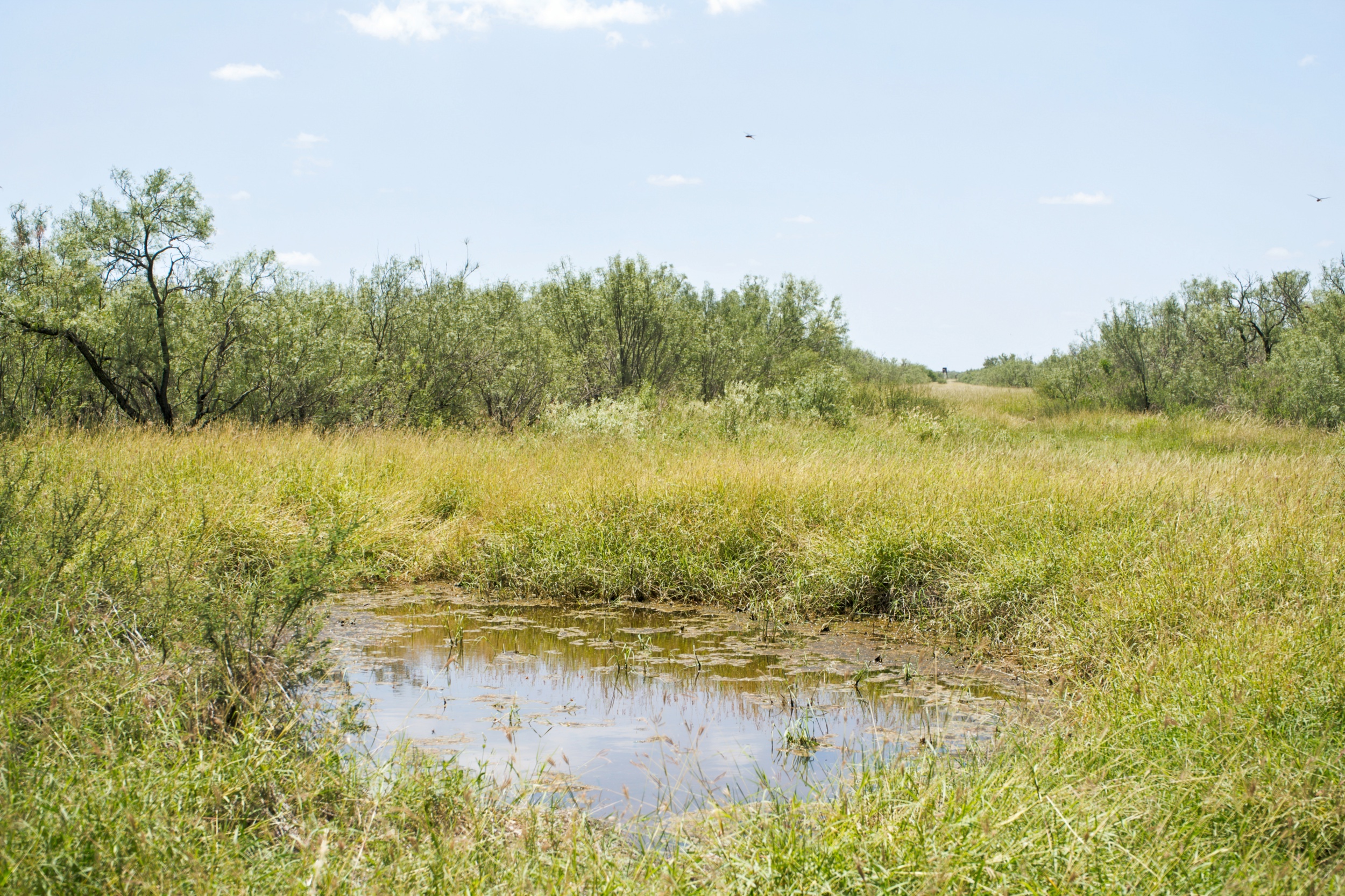  3,640+/- Acre Rosita Lake Ranch - 物件實景