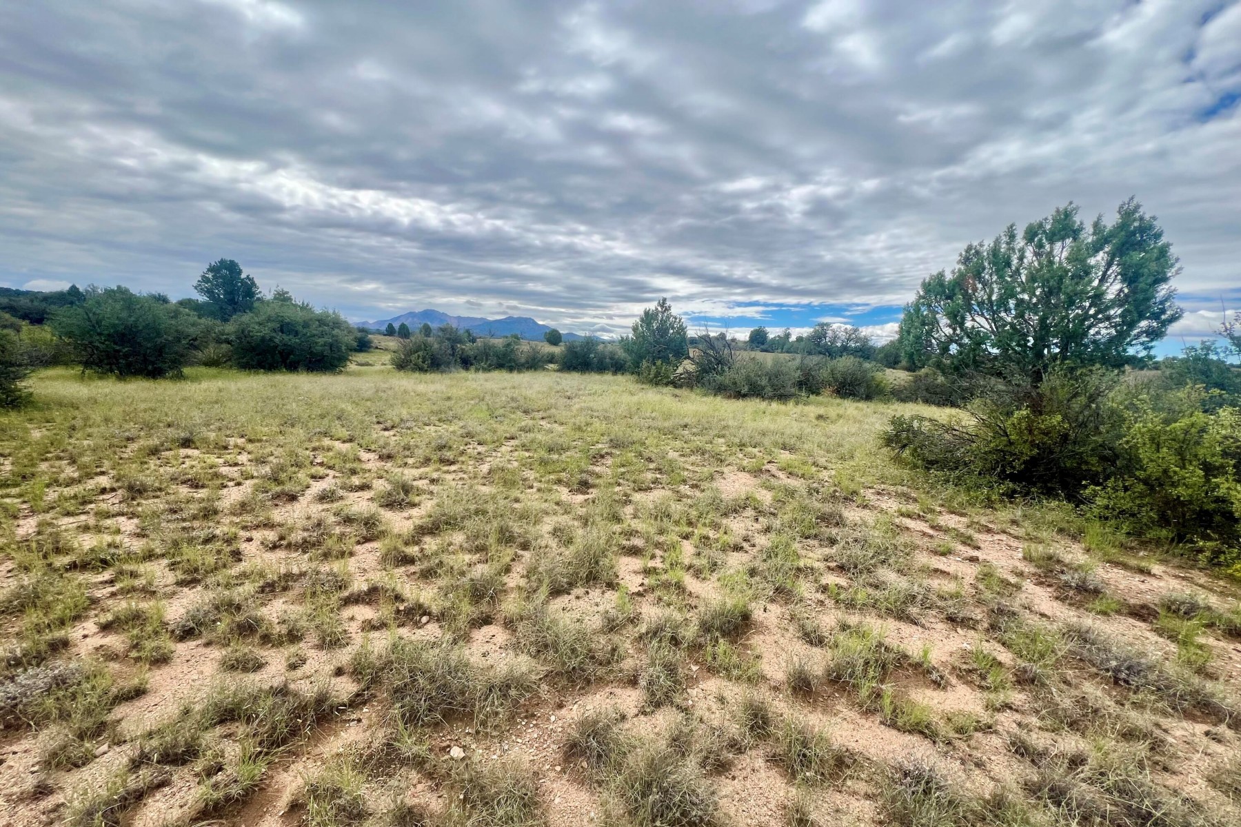  14565 N Puntenney Road¦Prescott, AZ - 物件實景