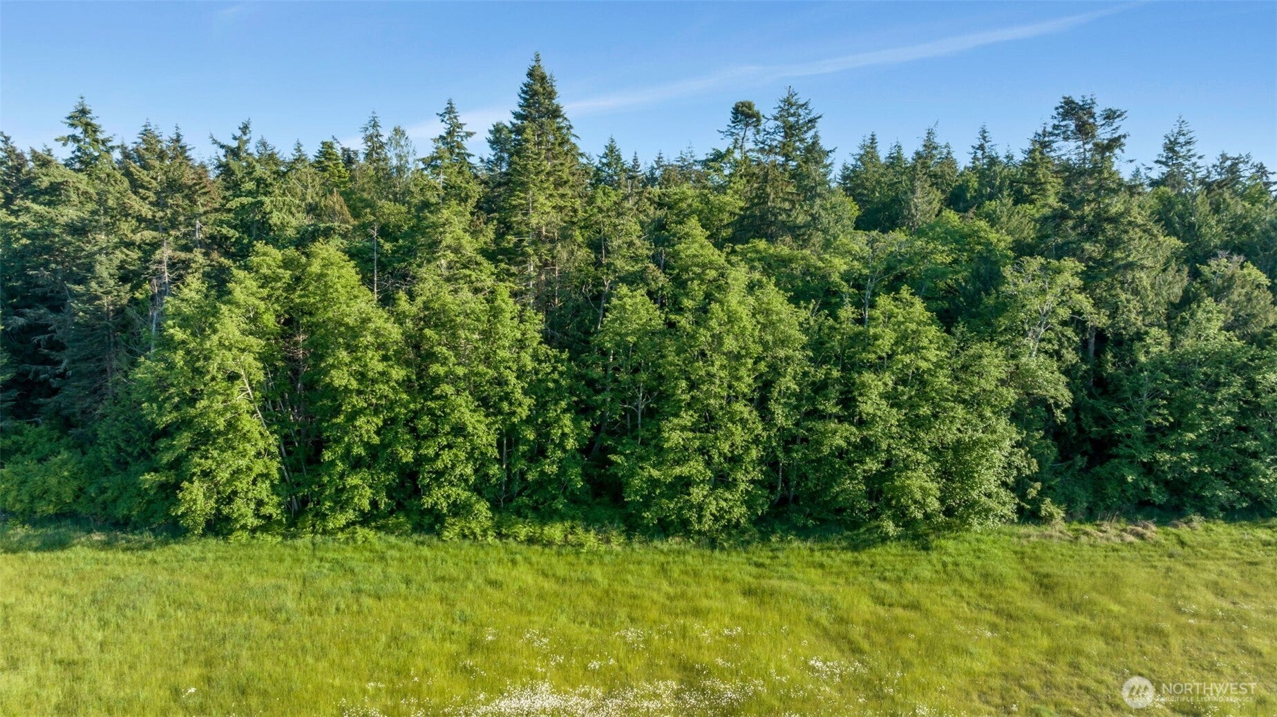 Lopez Island, Washington, 98261, United States, ,Land,For Sale,1982607