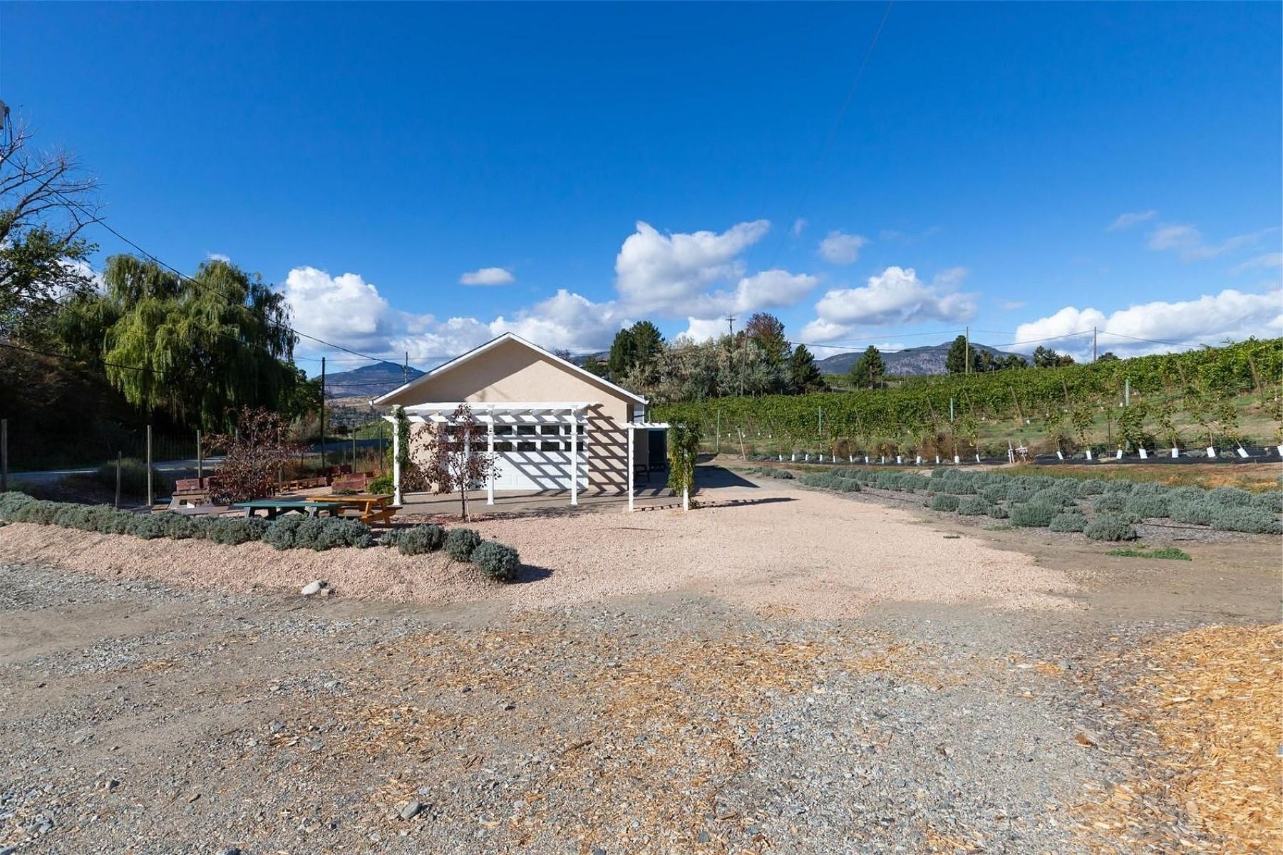  Boutique Okanagan Winery - 物件實景