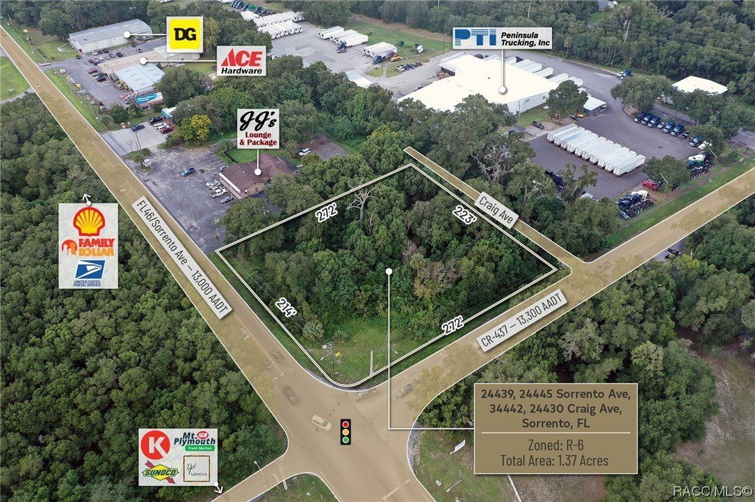 24439 Sorrento Avenue, Mount Dora, Florida, 32776, United States, ,Residential,For Sale,24439 Sorrento Avenue,1348352