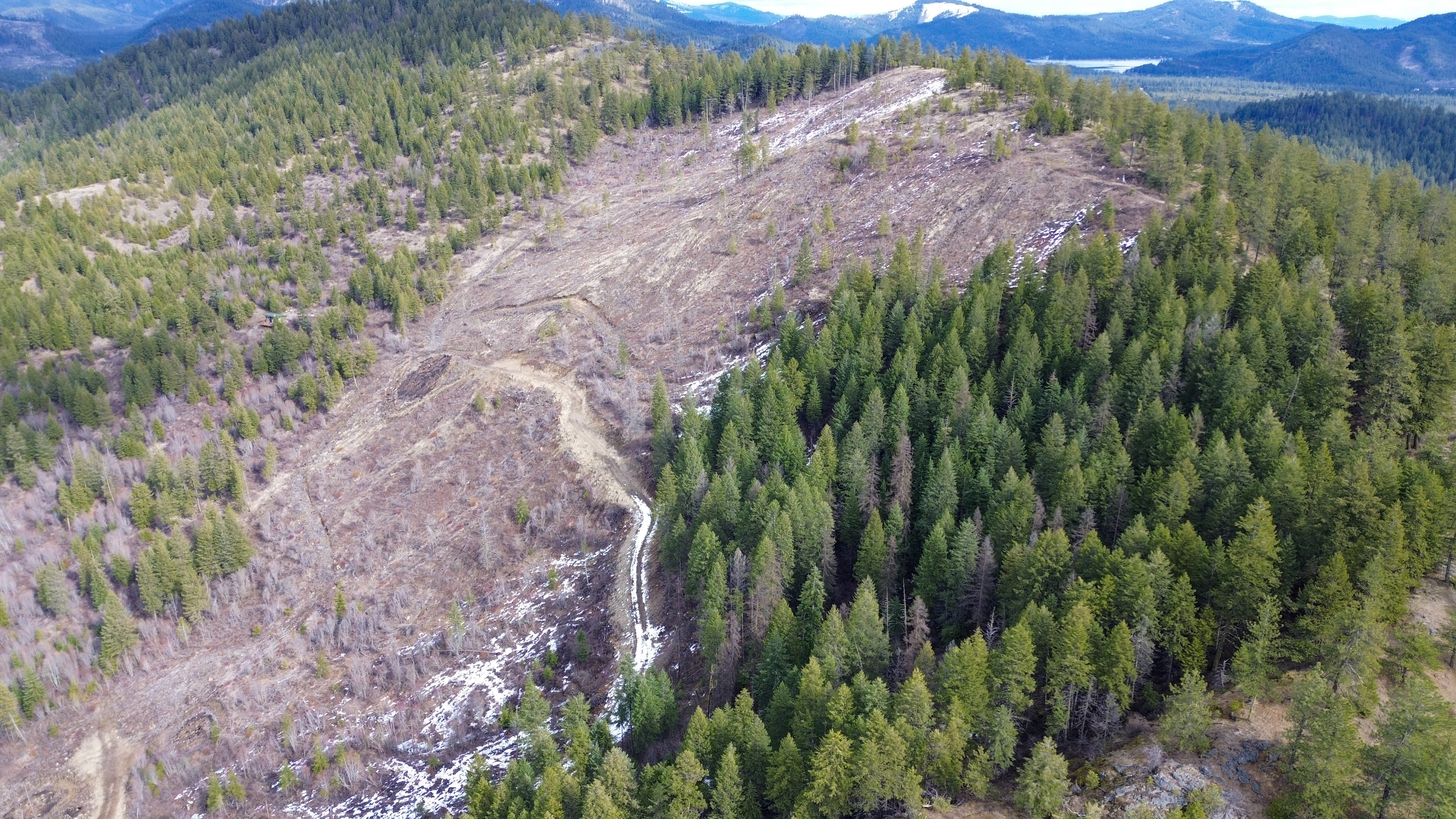 Valley, Washington, 99181, United States, ,Land,For Sale,1979391