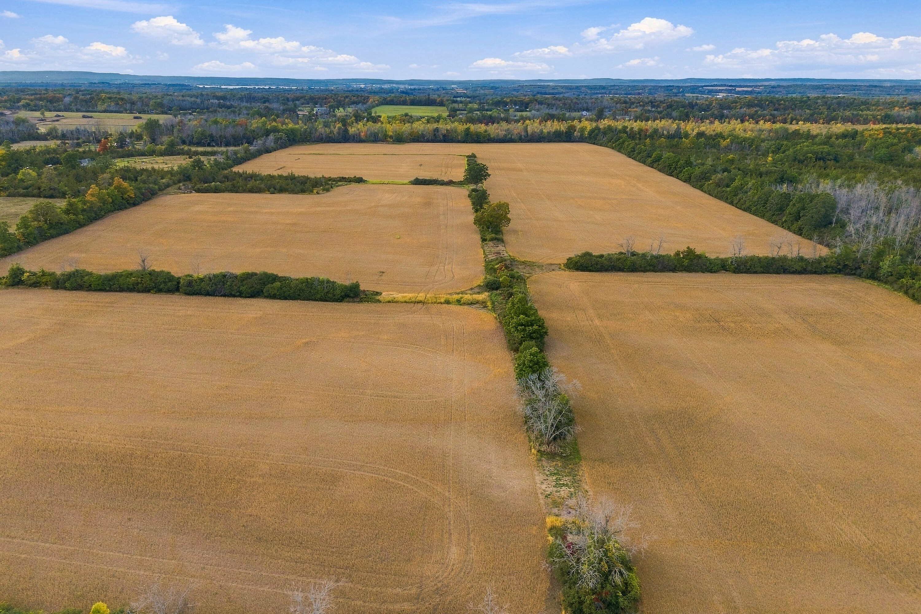  Prince Edward County - 物件實景