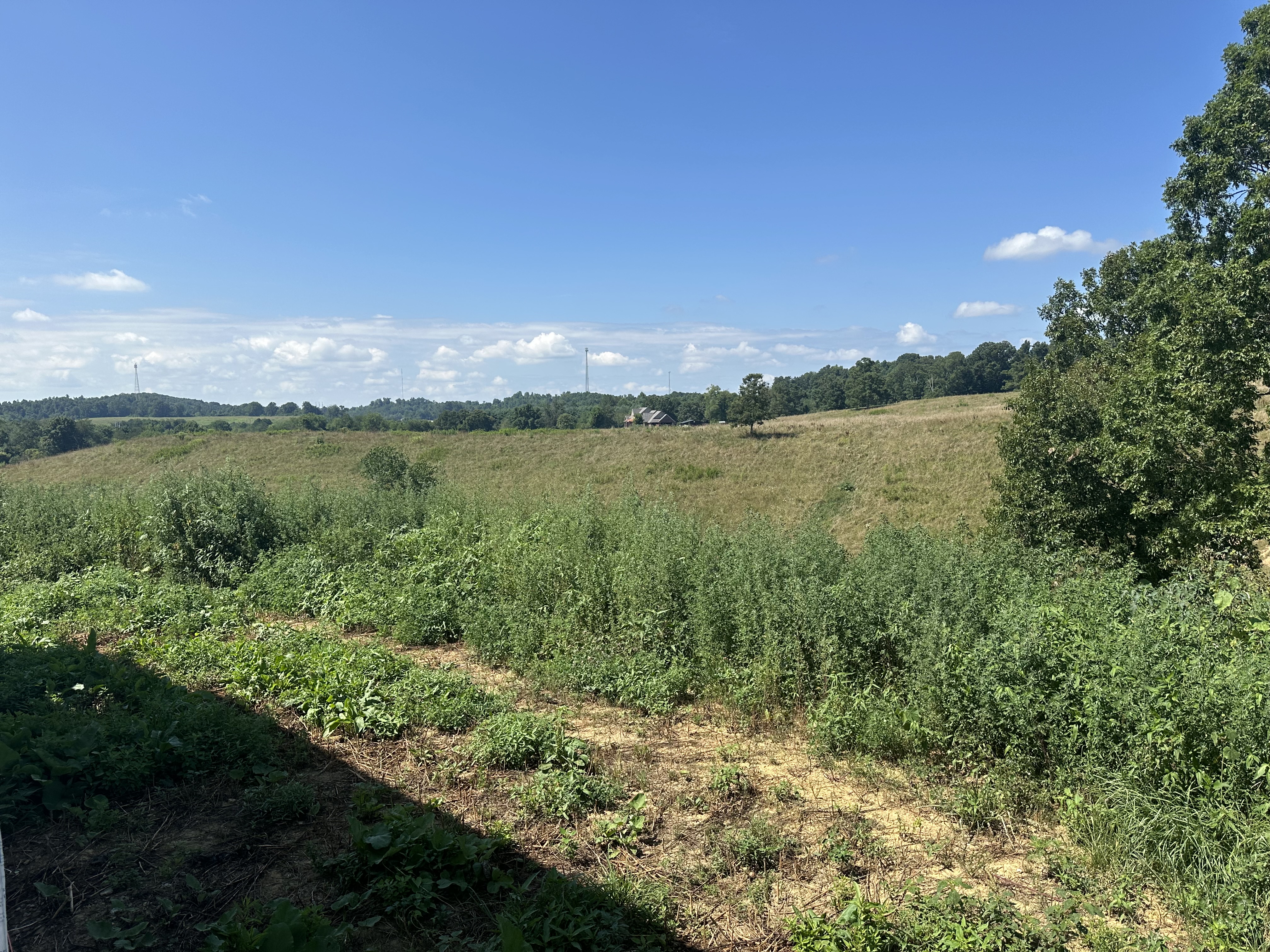 London, Kentucky, 40741, United States, 5 Bedrooms Bedrooms, ,3 BathroomsBathrooms,Residential,For Sale,1981259