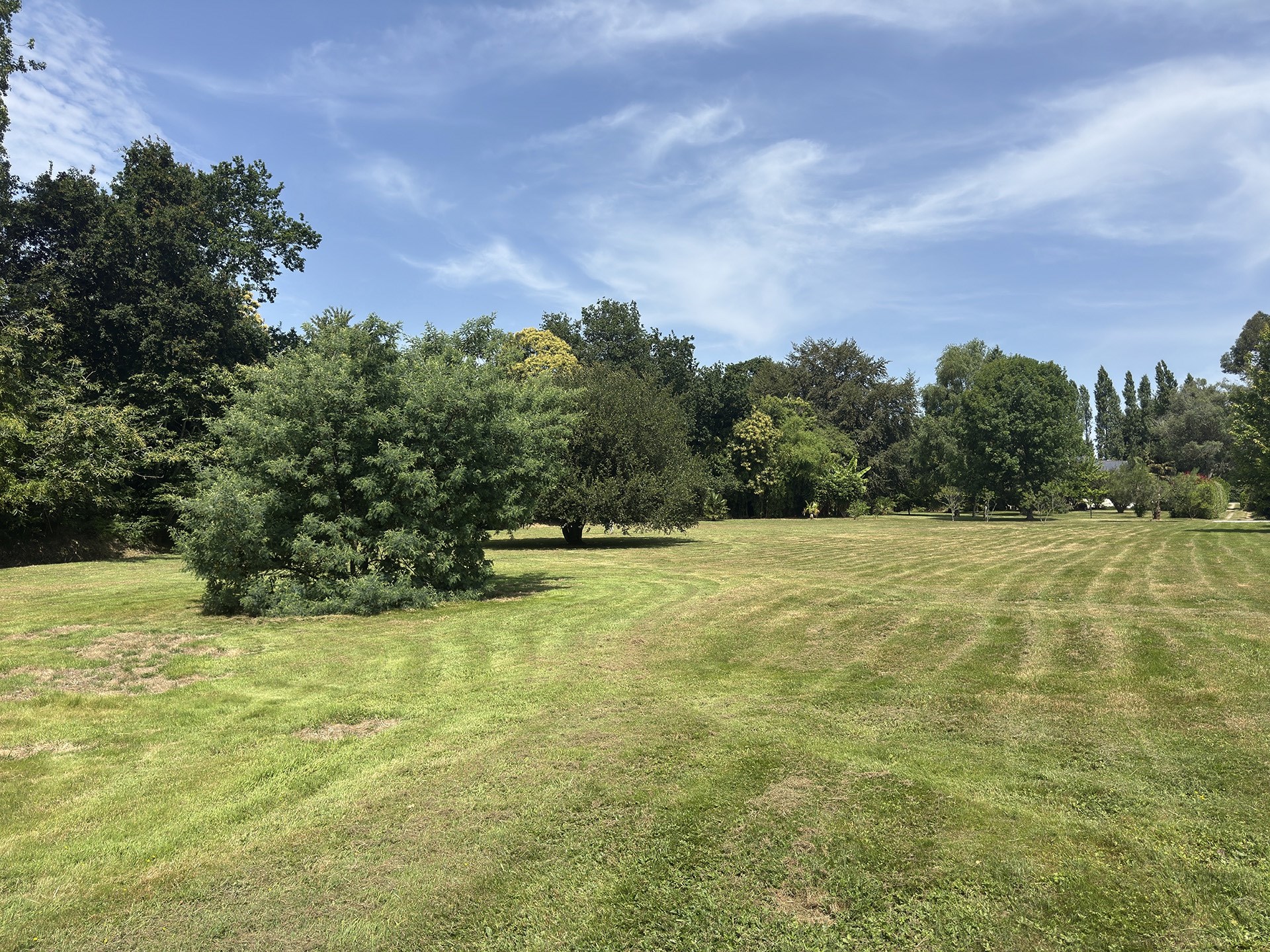  CLOHARS-FOUESNANT, LARGE QUIET PLOT OF LAND - 物件實景