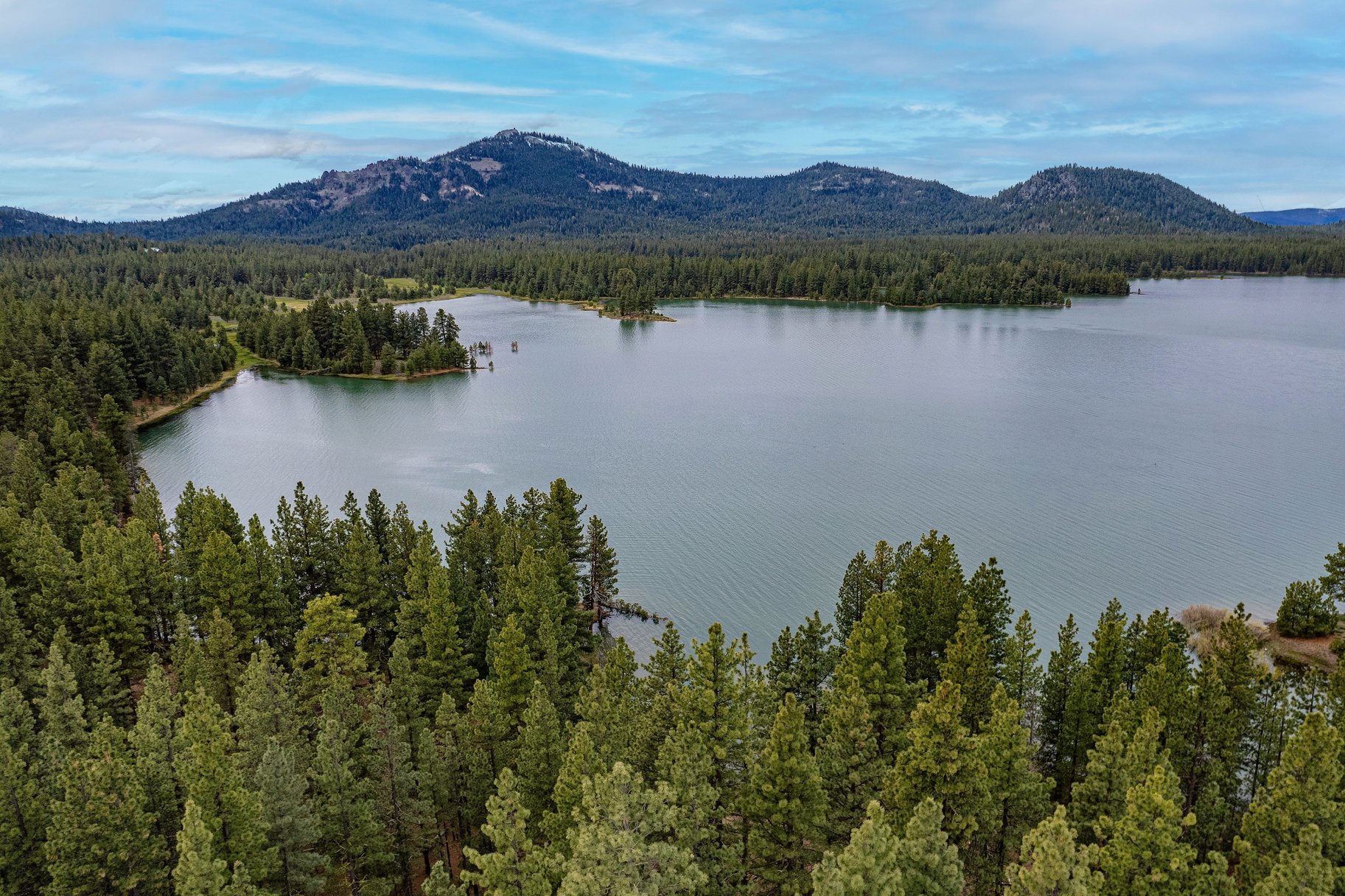  Cozy Cabin near Lake Davis - 物件實景