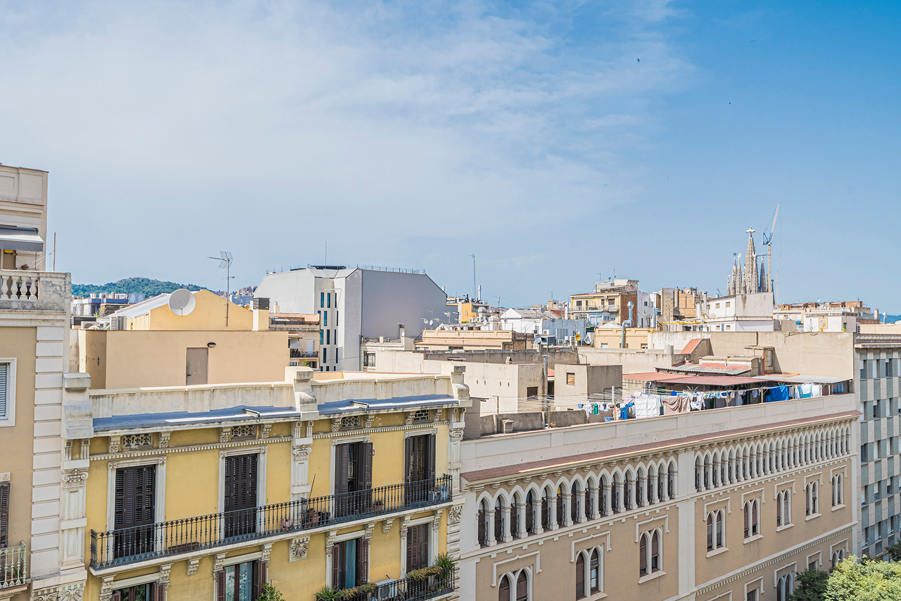  Consell de Cent residences - a green oasis in central Eixample - 物件實景