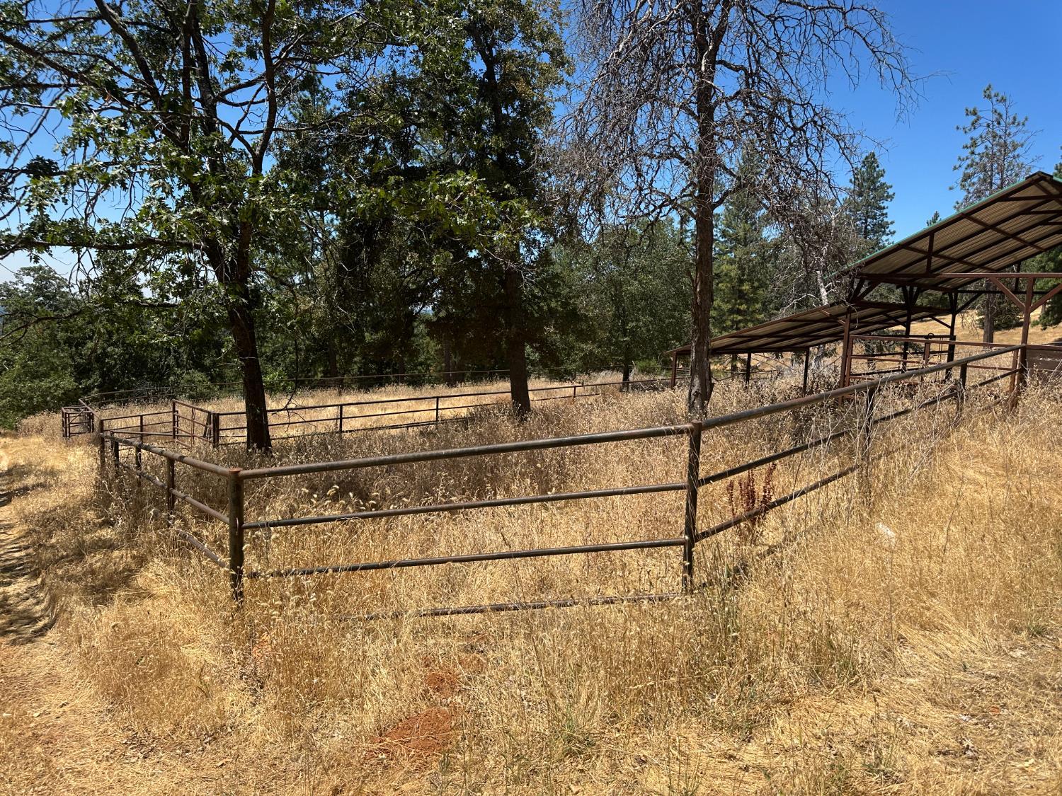 Georgetown, California, 95634, United States, ,Residential,For Sale,1943393