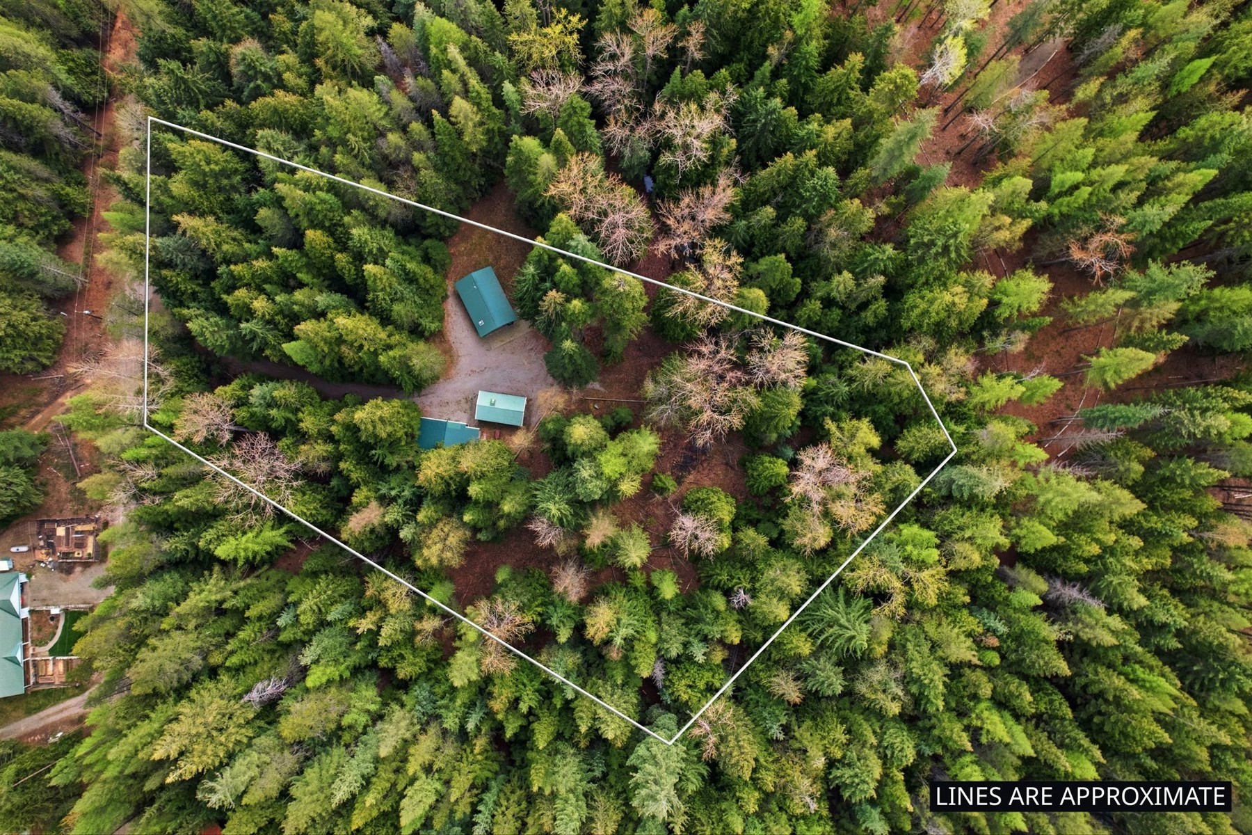  354 Fall Creek Road - 物件實景