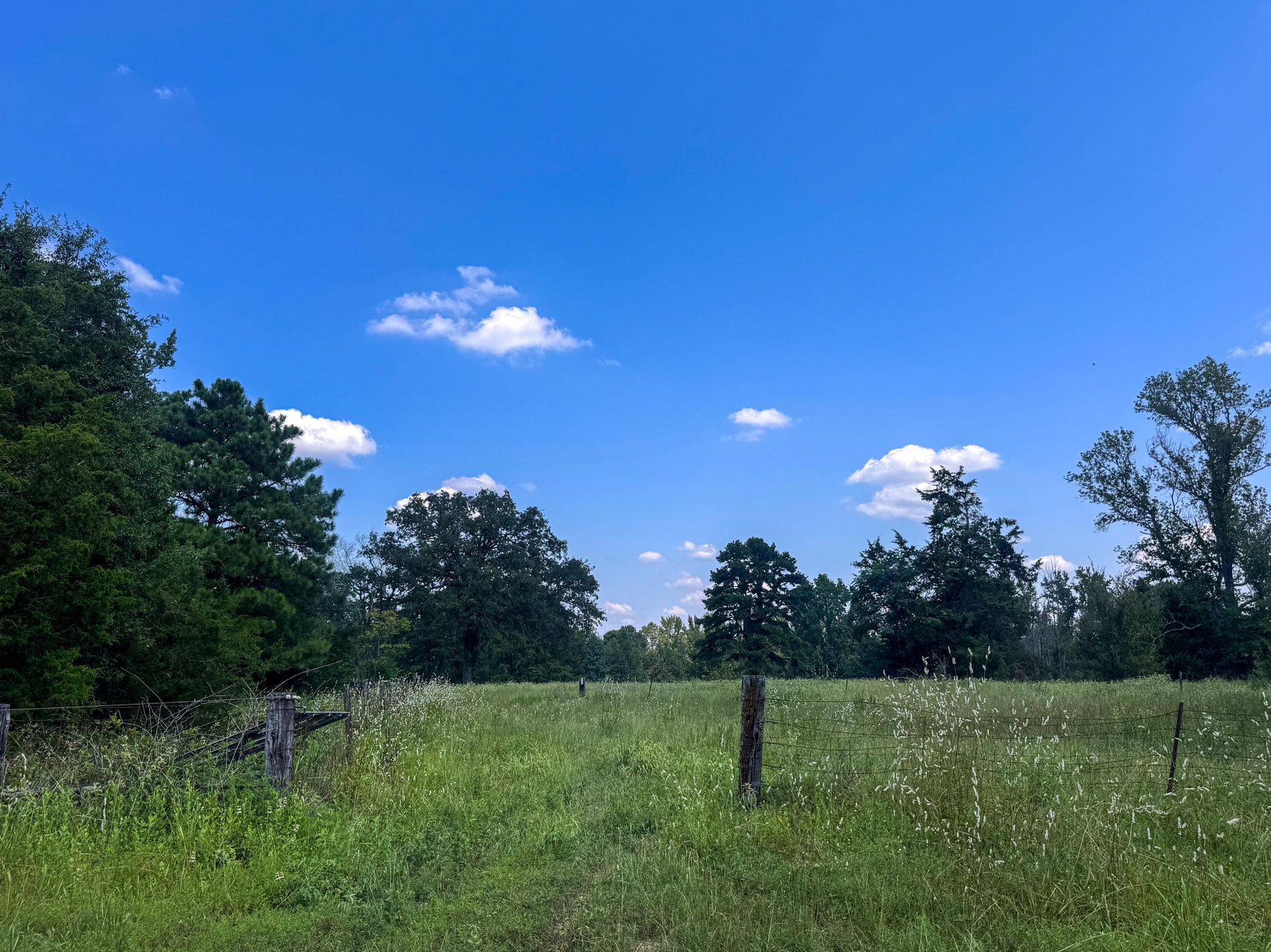 Douglassville, Texas, 75560, United States, 4 Bedrooms Bedrooms, ,3 BathroomsBathrooms,Residential,For Sale,1914297