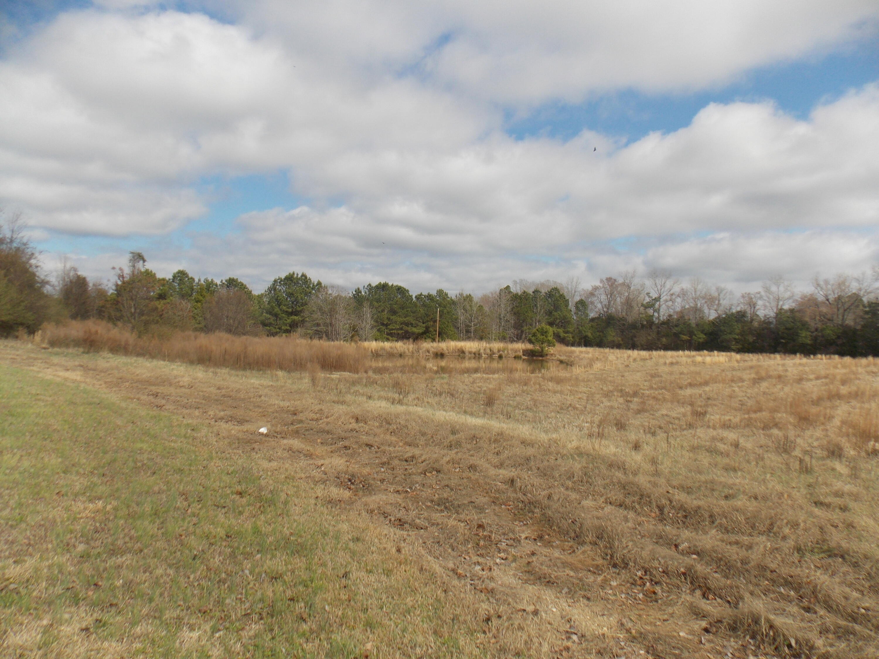 Double Branches Rd, Lincolnton, GA 30817 #1
