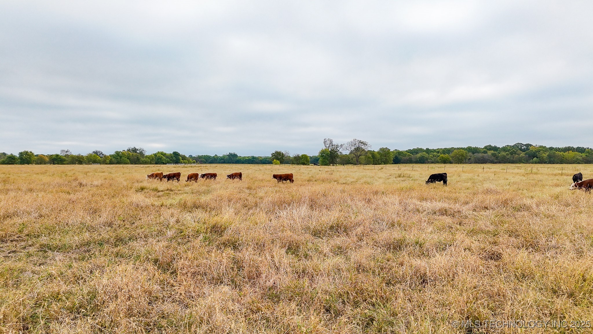 Haskell, Oklahoma, 74436, United States, ,Residential,For Sale,1989058