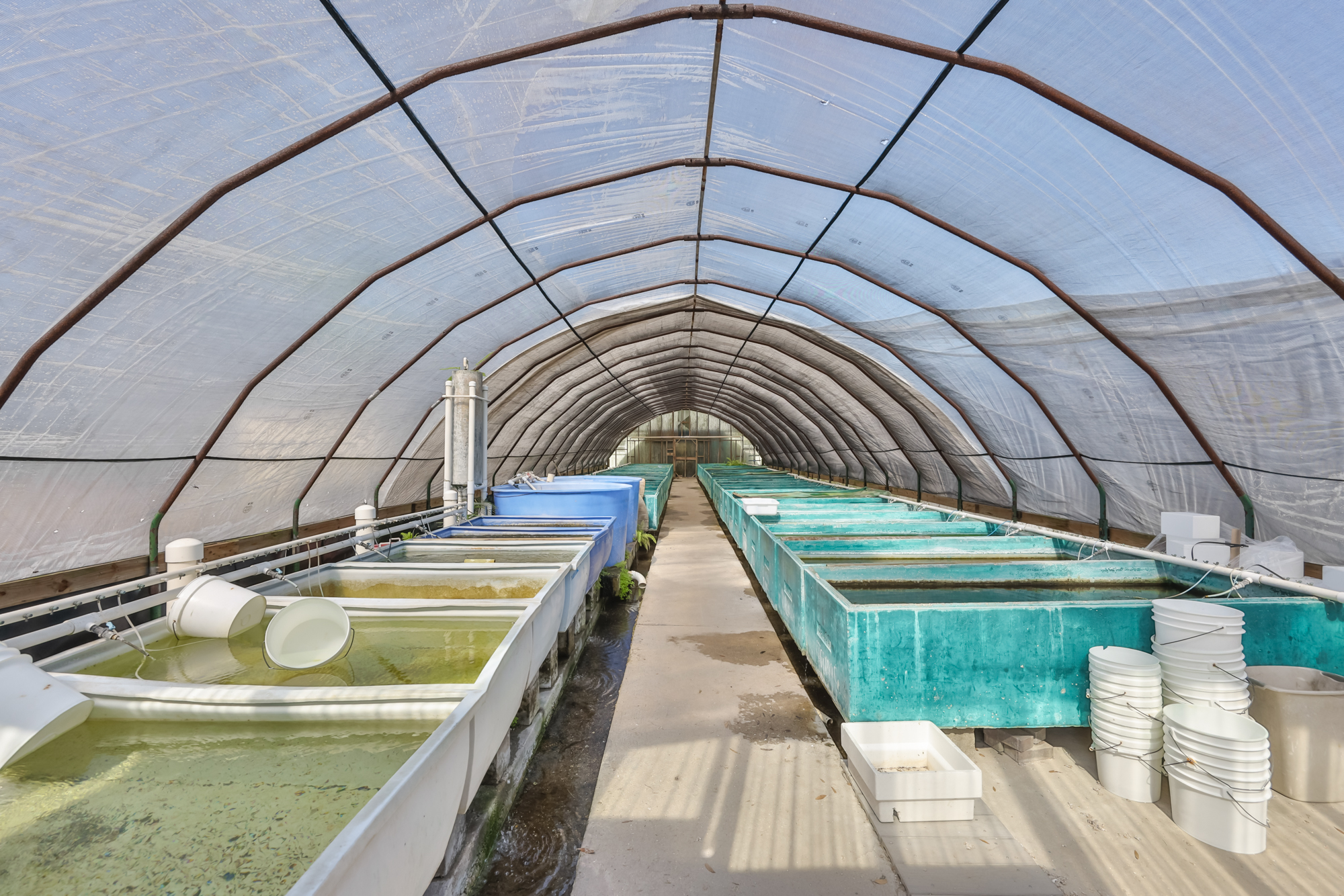 Wimauma, Florida, 33598, United States, 3 Bedrooms Bedrooms, ,2 BathroomsBathrooms,Residential,For Sale,2016610