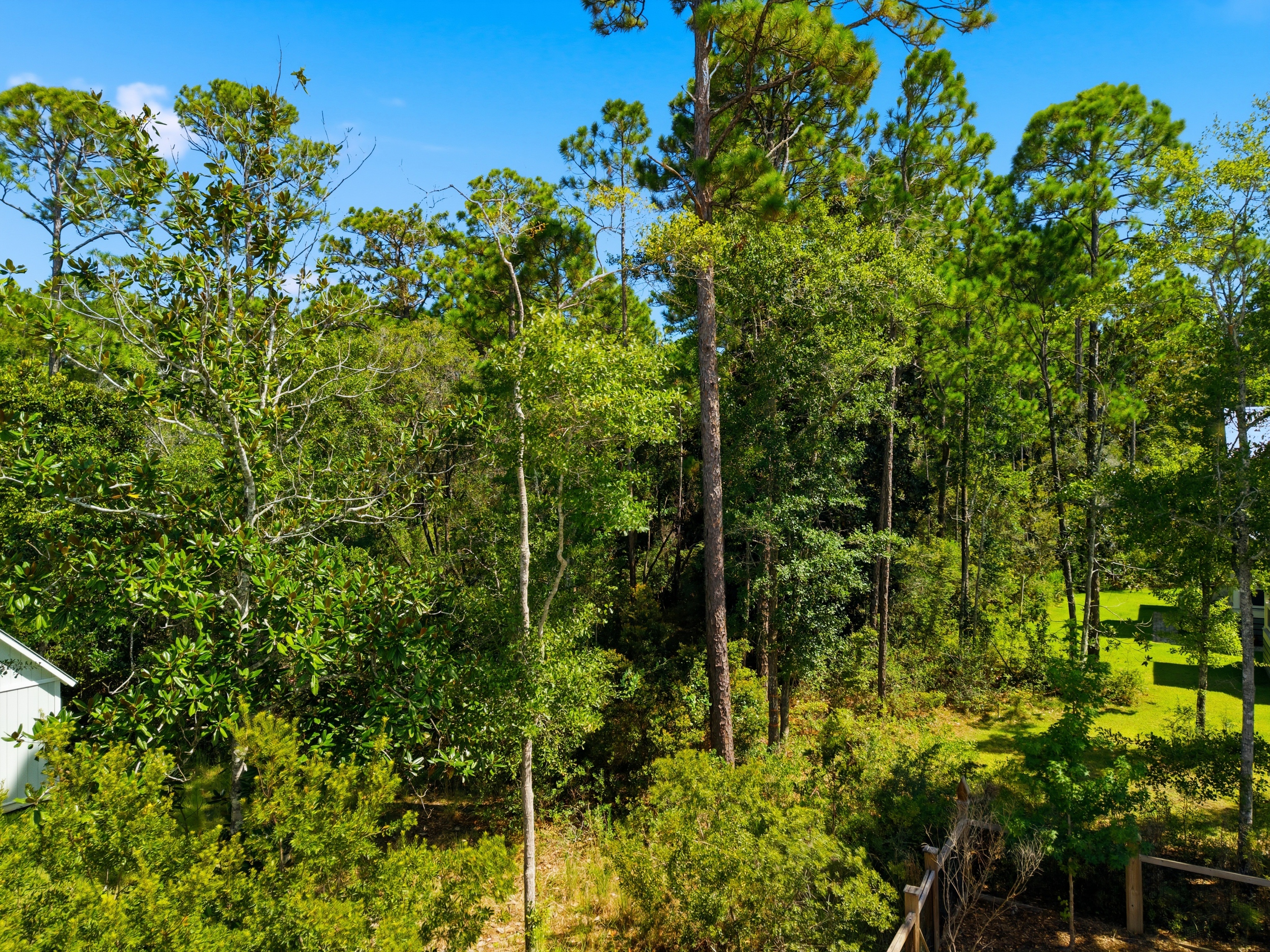  Expansive Point Washington Homesite Near the Bay & 30A - 物件實景