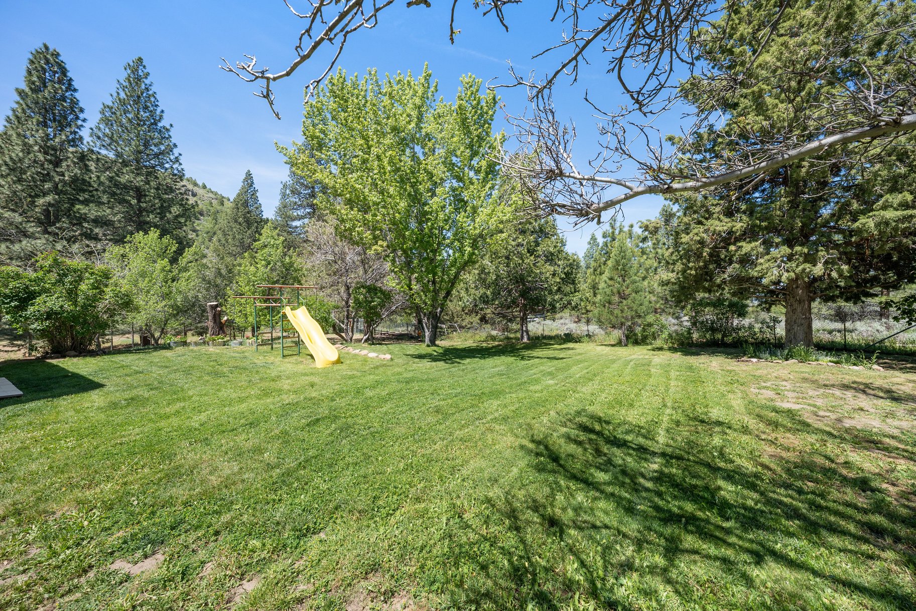  Sweet home on 1.24 acres in Sierra Brooks - 物件實景
