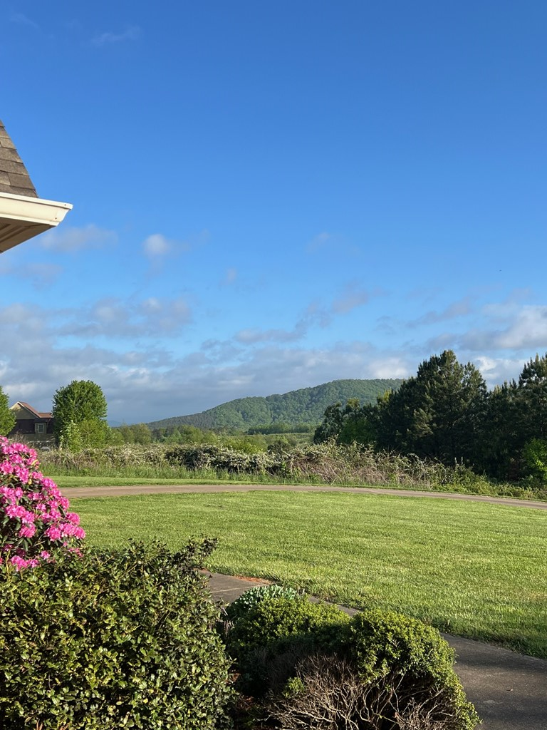 Ellijay, Georgia, 30536, United States, 4 Bedrooms Bedrooms, ,4 BathroomsBathrooms,Residential,For Sale,1876952