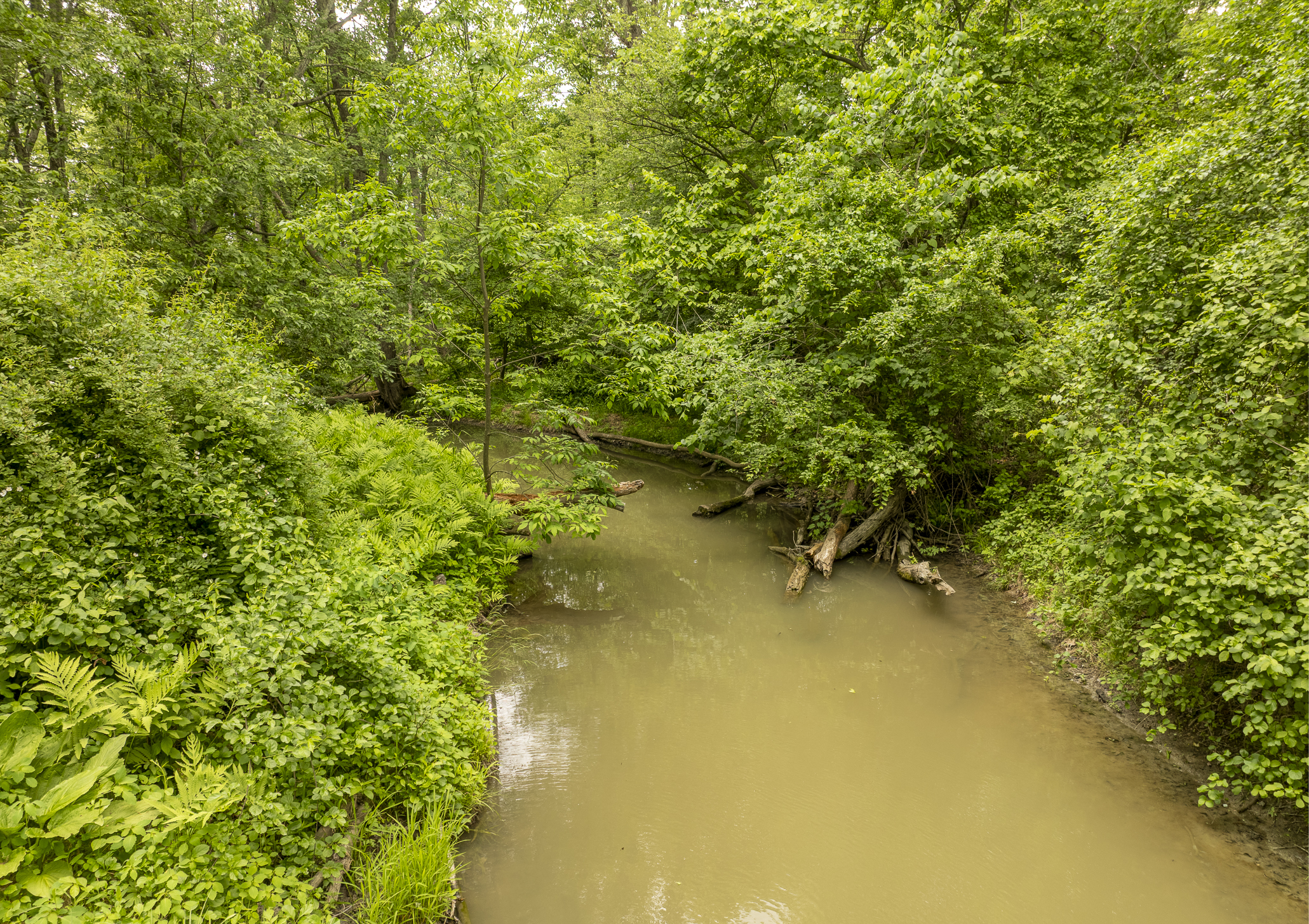  Extraordinary 34.5-Acre Hudson Valley Estate Site Near Rhinebeck - 物件實景
