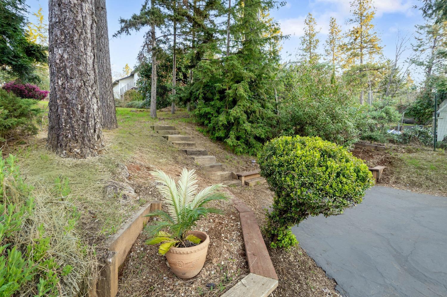 Grass Valley, California, 95949, United States, 3 Bedrooms Bedrooms, ,2 BathroomsBathrooms,Residential,For Sale,1761792
