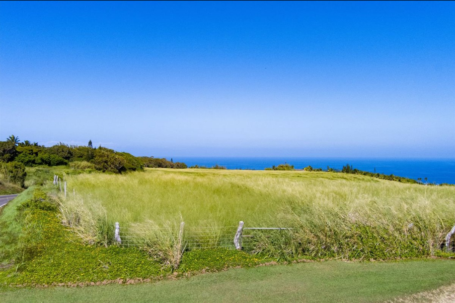 Kapaau, Hawaii, 96755, United States, ,Land,For Sale,2005975