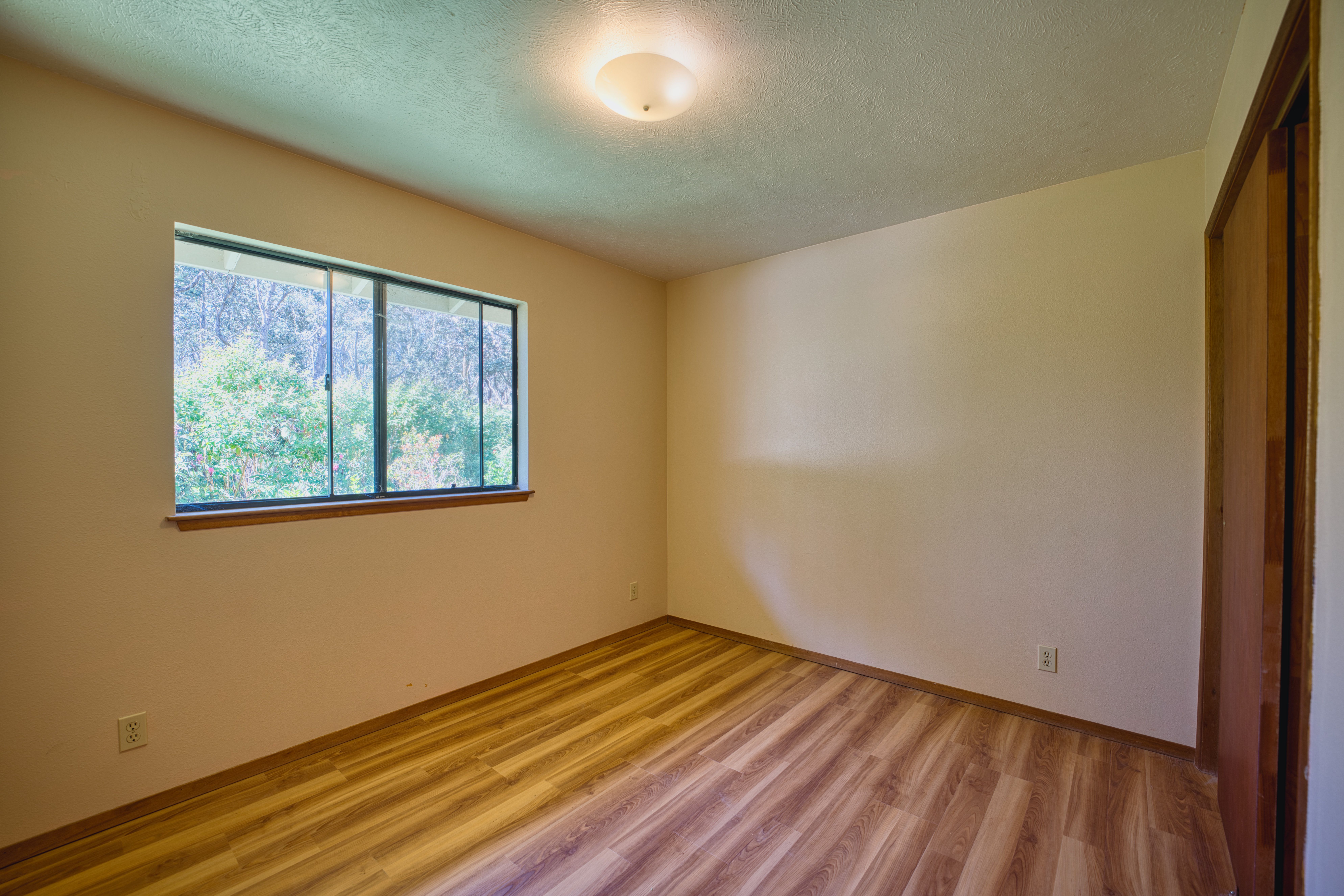  19-4159 Anuhea Circle Dr, Volcano, HI, 96785 - 物件實景