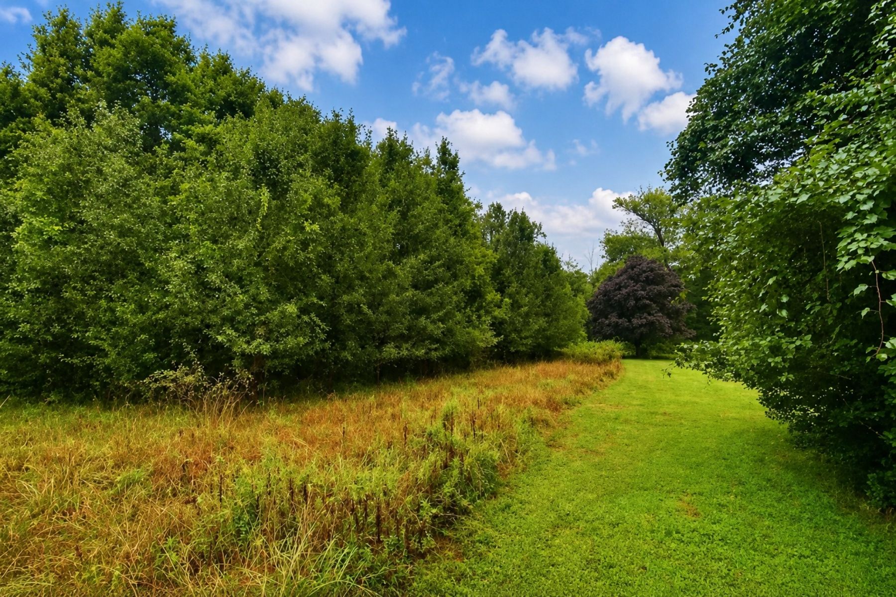  129 Ashton Road, Ashton, MD, 20861 - 物件實景
