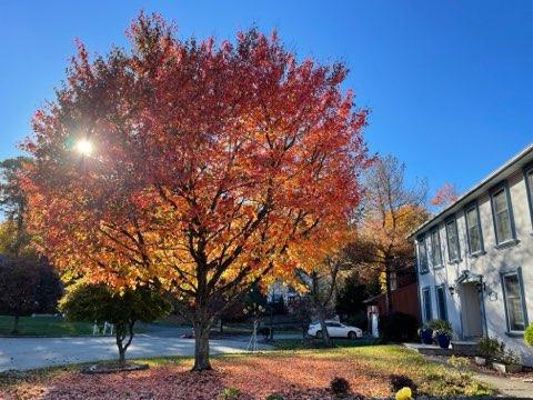 Lincoln Park, New Jersey, 07035, United States, 4 Bedrooms Bedrooms, ,3 BathroomsBathrooms,Residential,For Sale,1942822