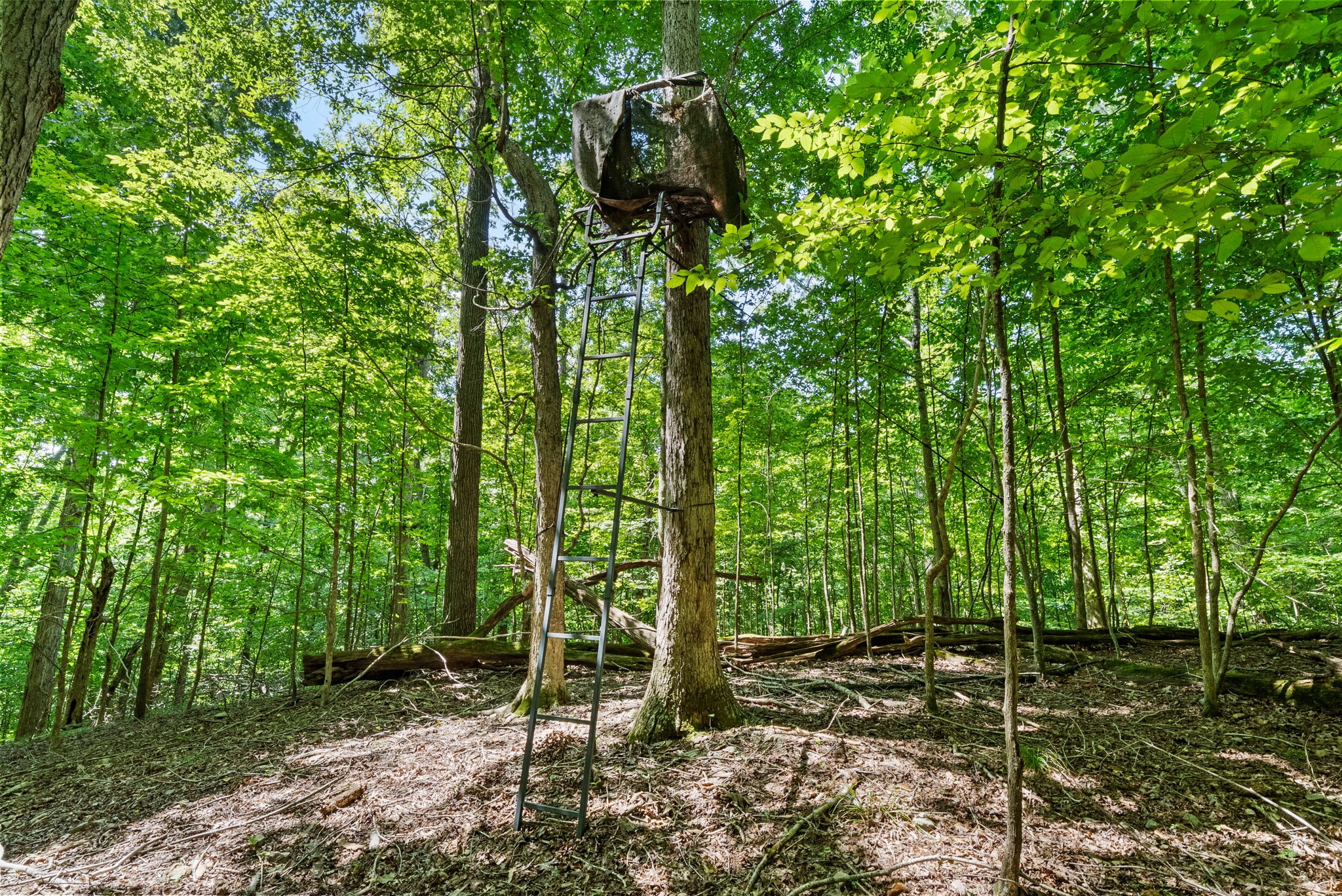 Cadiz, Kentucky, 42211, United States, 4 Bedrooms Bedrooms, ,3 BathroomsBathrooms,Residential,For Sale,1977115