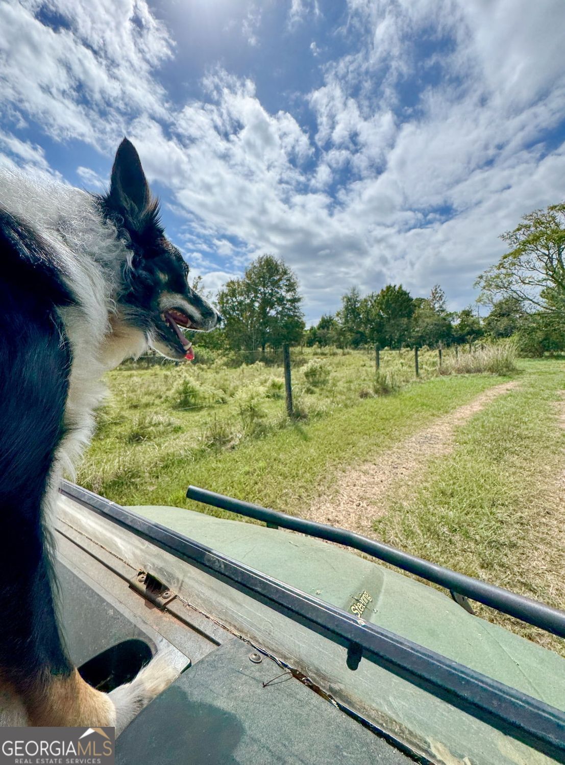 The Rock, Georgia, 30285, United States, ,Land,For Sale,1963371