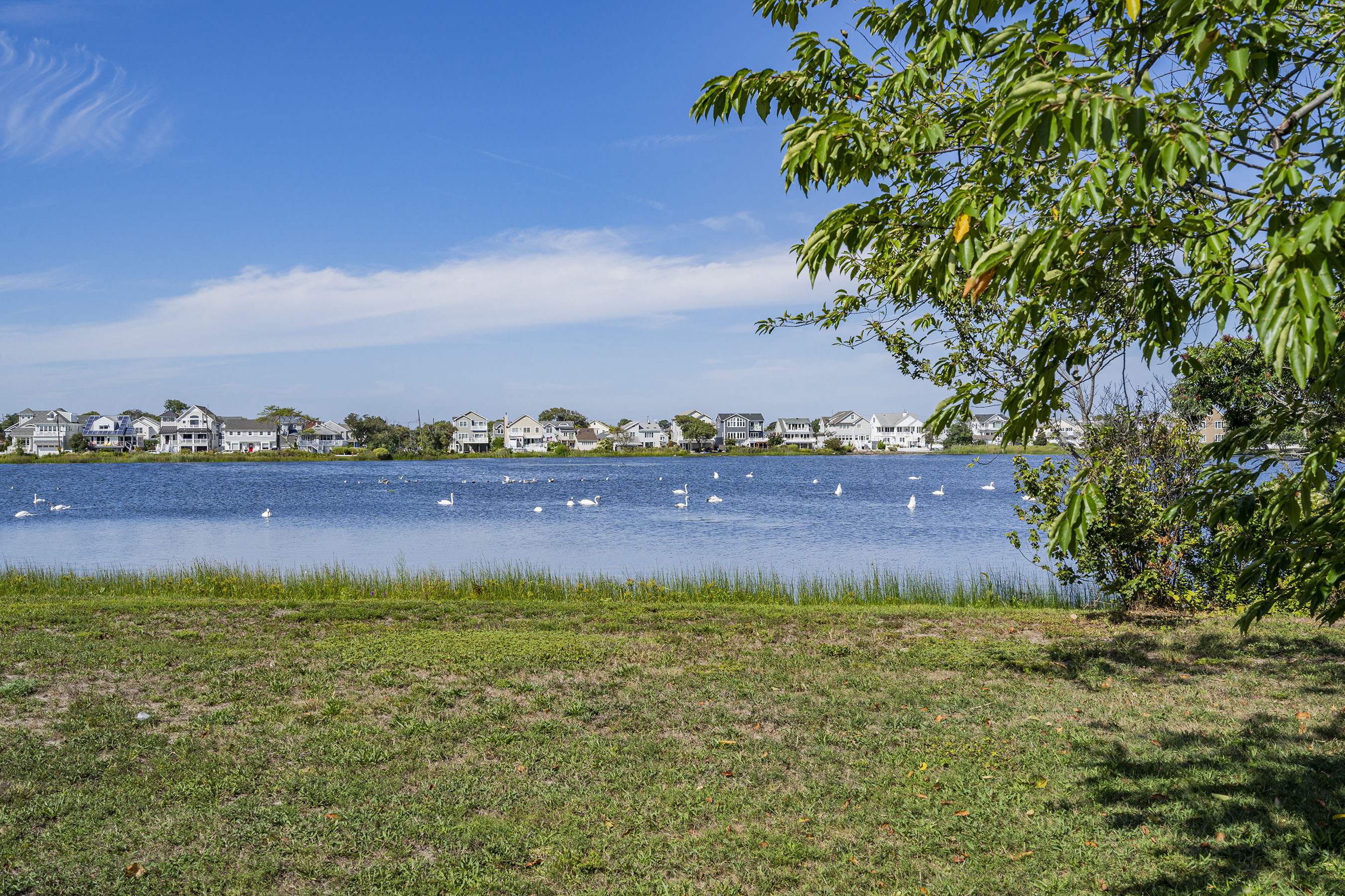  Spacious Shore Colonial in Bay Head Pointe - 物件實景
