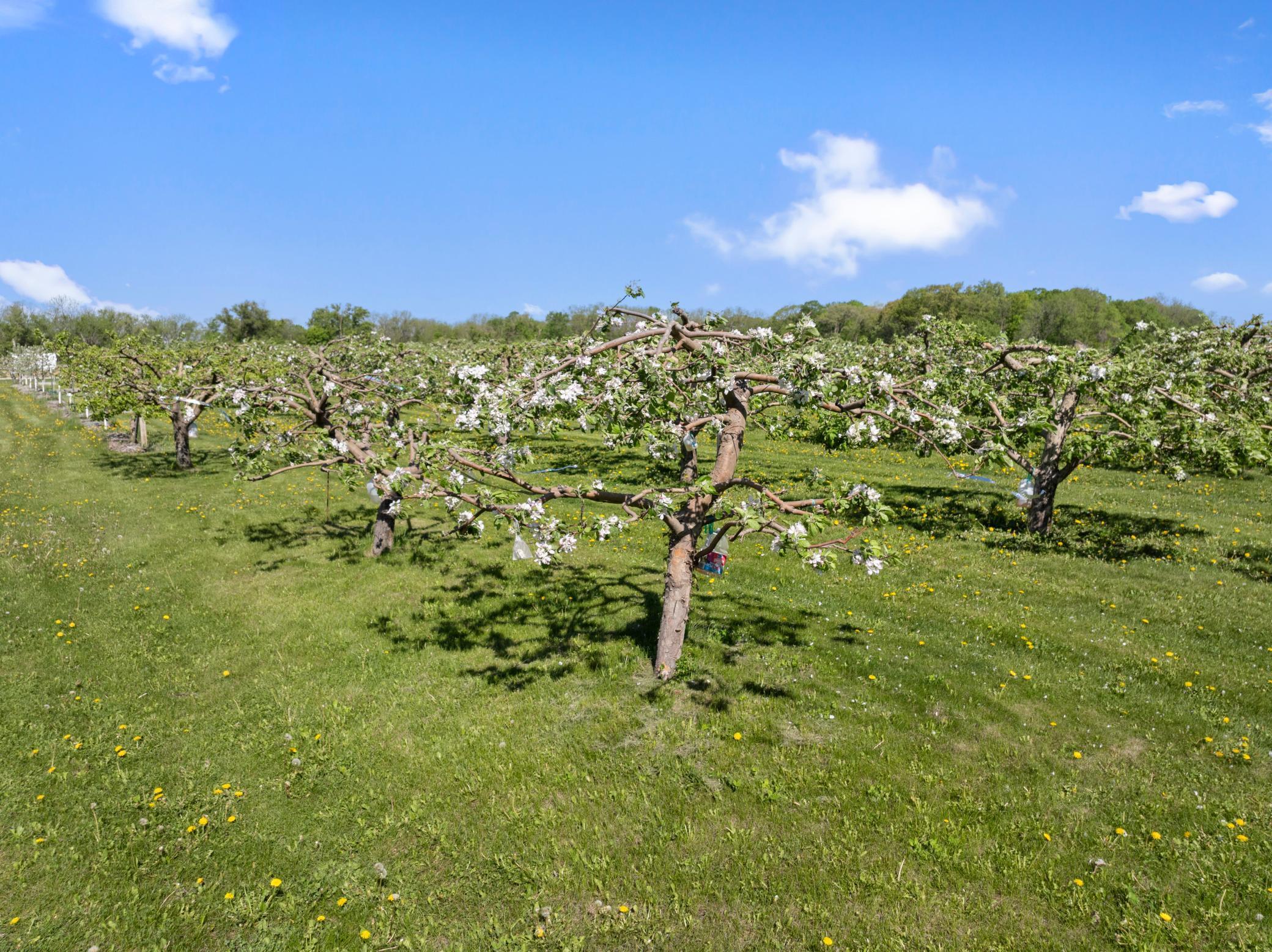 Bridgewater Twp, Minnesota, 55057, United States, ,Residential,For Sale,1851900
