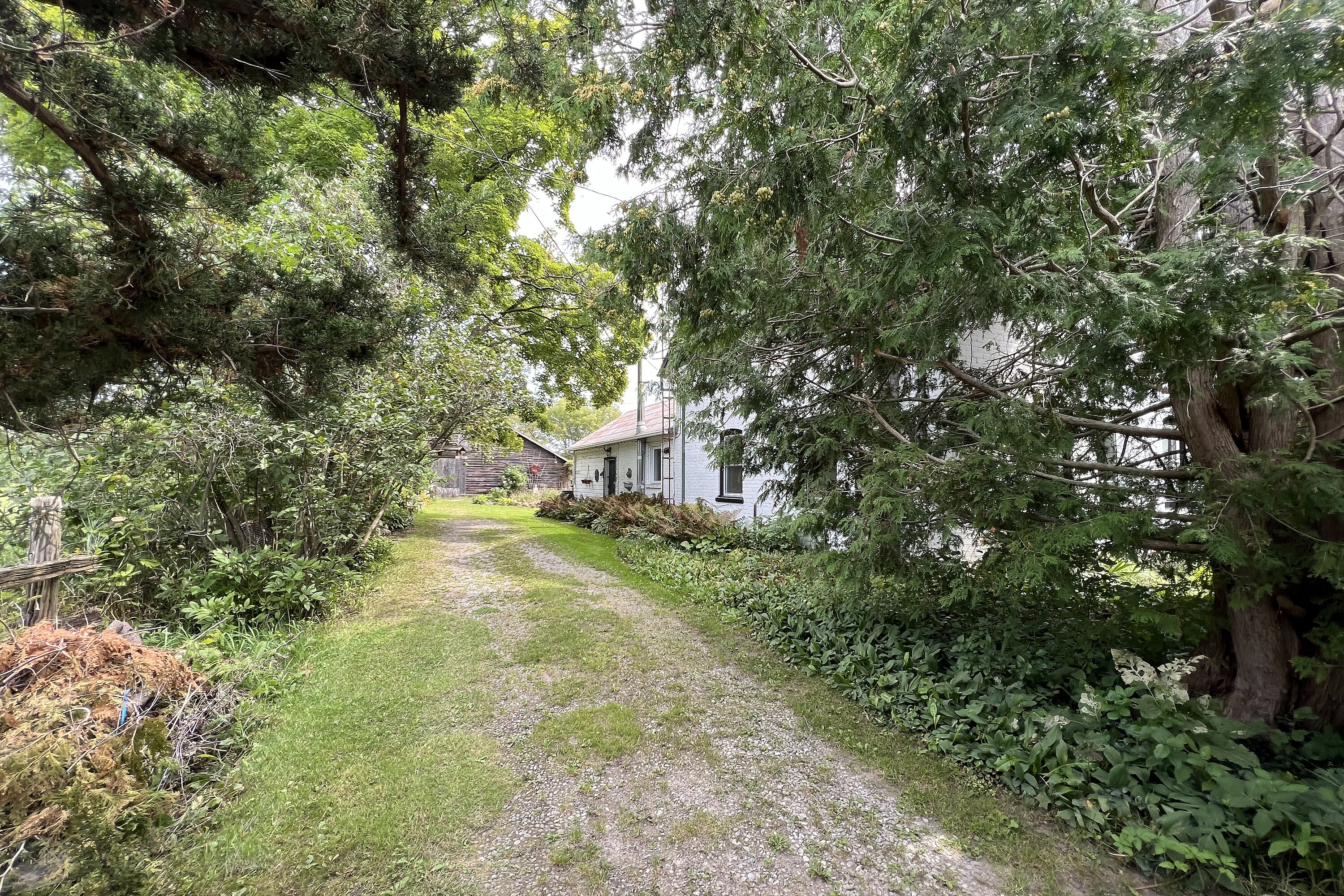  Warkworth Country Retreat - 物件實景