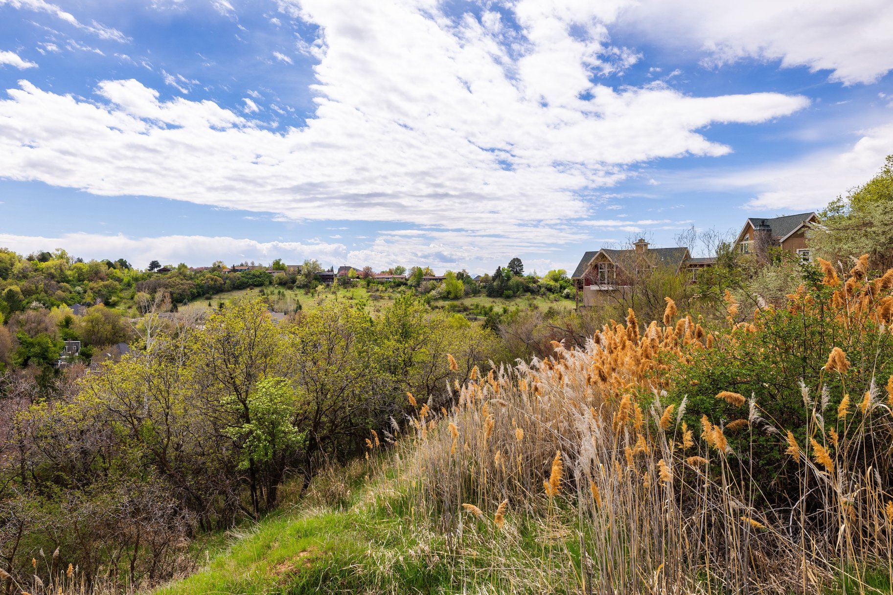  1.47 Acre Lot In East Layton With Endless Possibilities - 物件實景