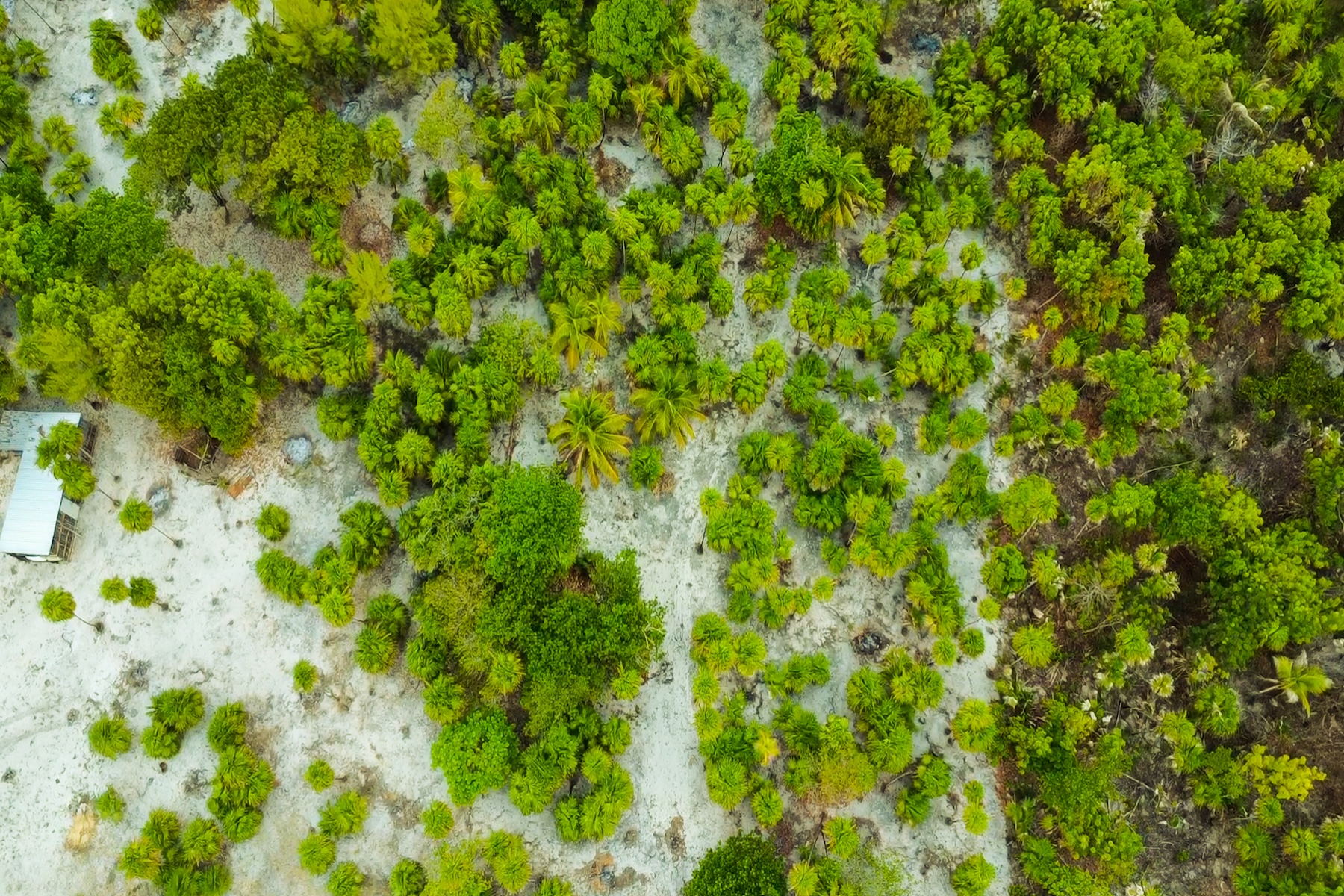  Viridiana Reserve: Beachfront Macro-lot in a Prime Location - 物件實景