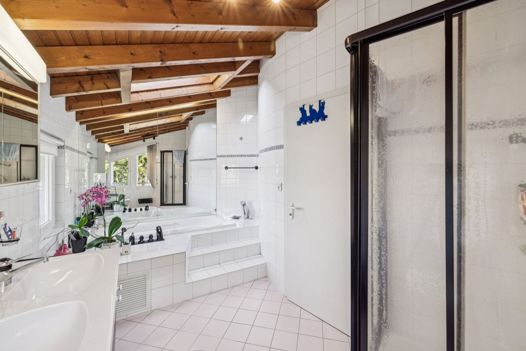  Detached villa with pool and independent studio - 物件實景