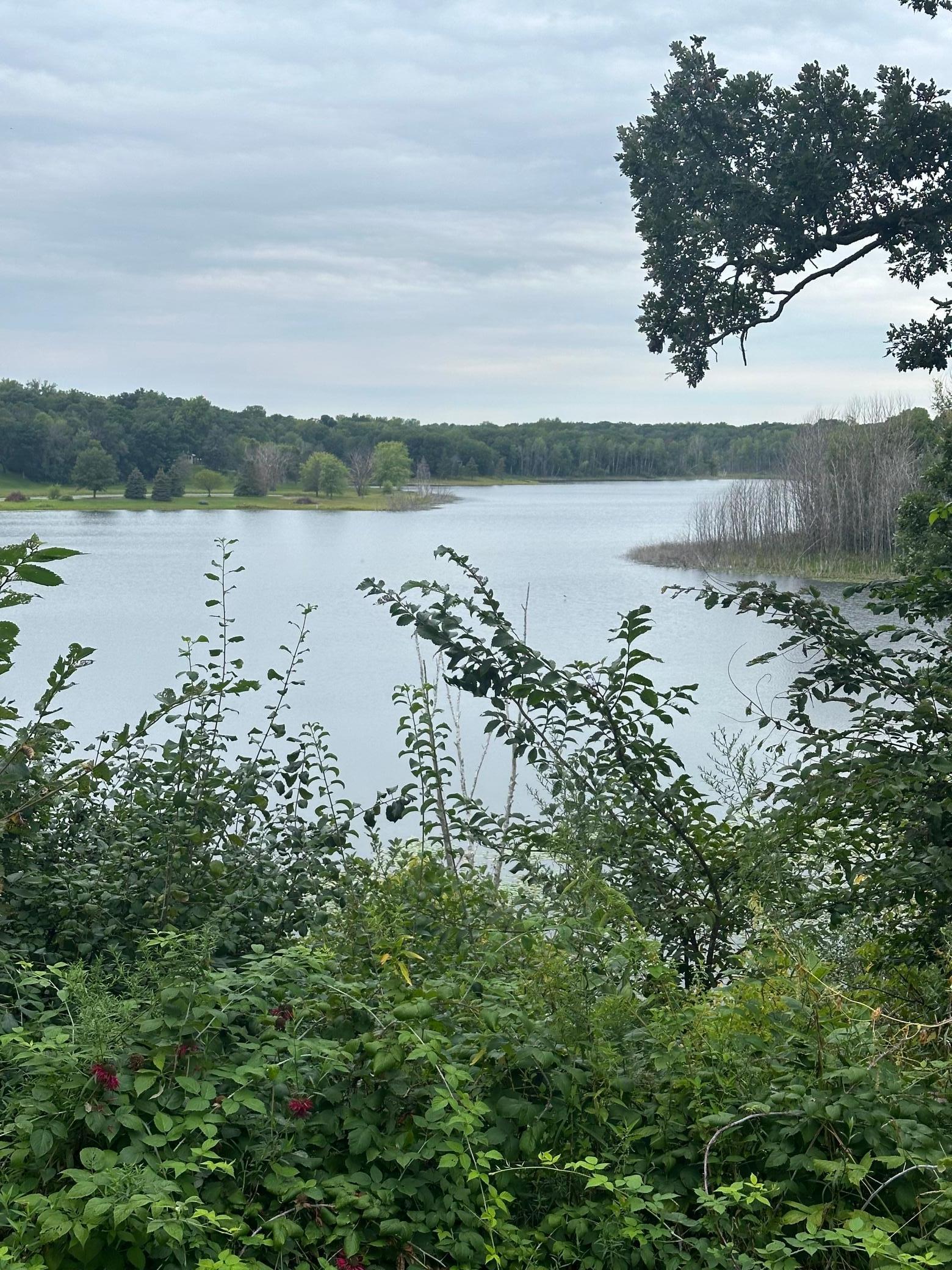 Lake Elmo, Minnesota, 55042, United States, 4 Bedrooms Bedrooms, ,4 BathroomsBathrooms,Residential,For Sale,2016349