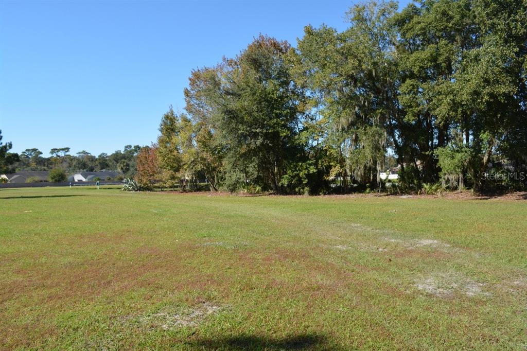 Sanford, Florida, 32773, United States, ,Land,For Sale,1987674