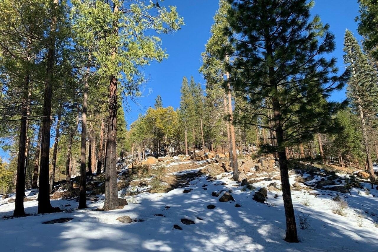 Yosemite, California, 95389, United States, ,Residential,For Sale,1791701