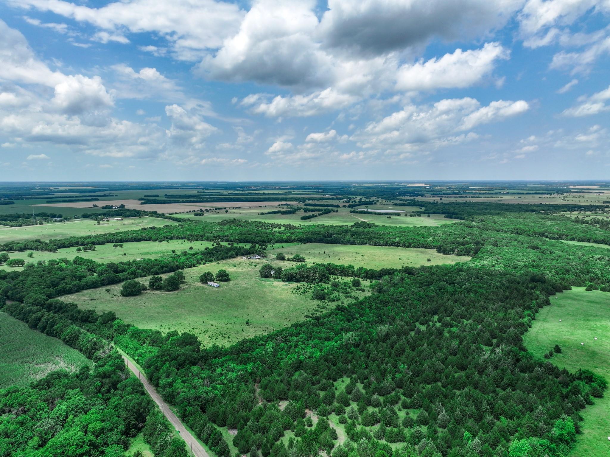 Commerce, Texas, 75428, United States, ,Land,For Sale,1980085