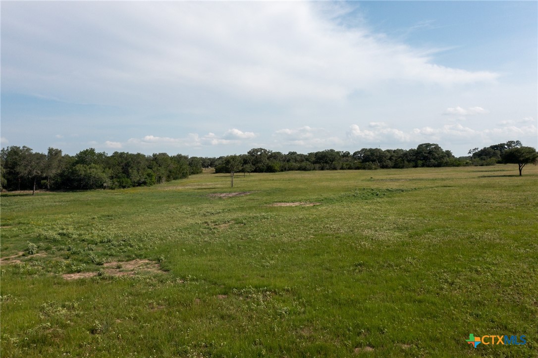 Yorktown, Texas, 78164, United States, ,Land,For Sale,1856260