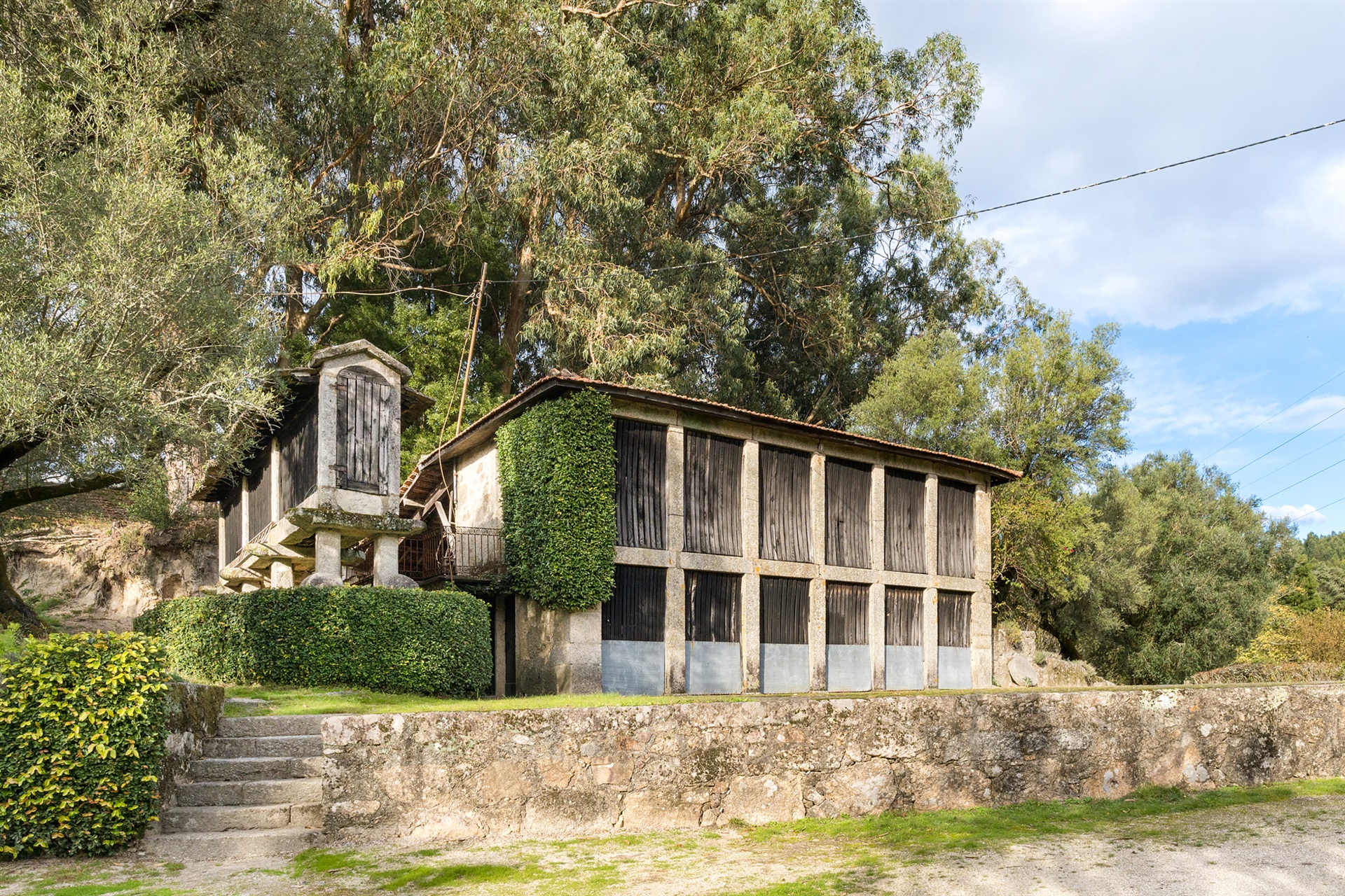  Farm, 6 bedrooms, for Sale - 物件實景