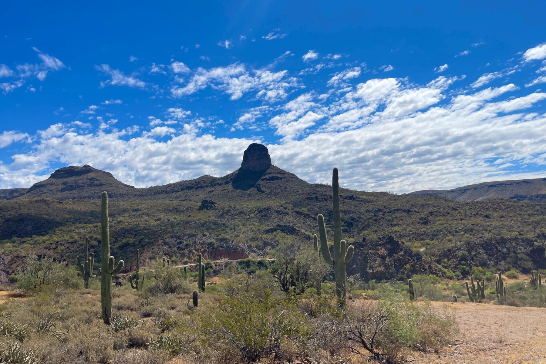  31900 S Tillys Trail¦Black Canyon City, AZ - 物件實景