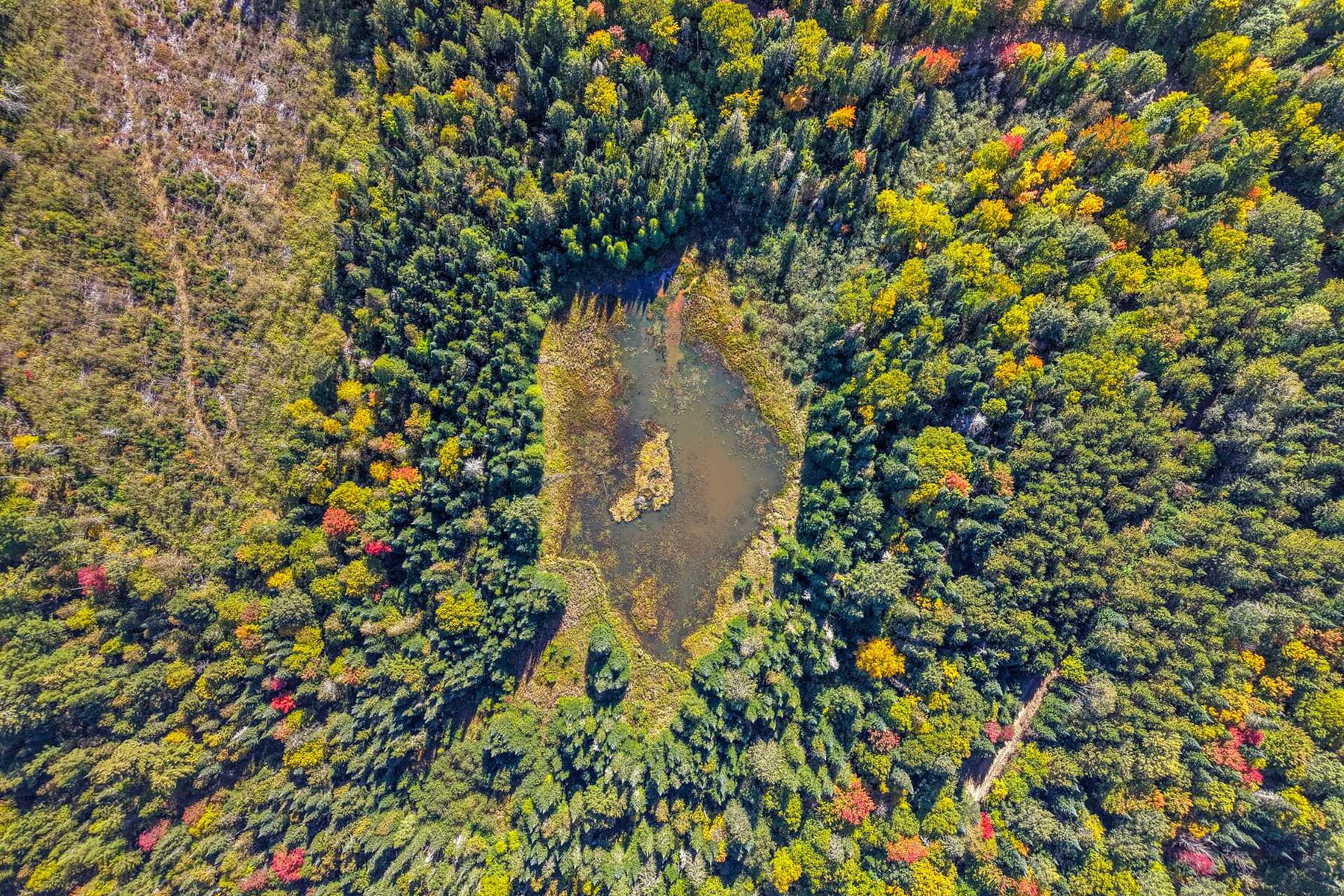  Huberdeau, Laurentides - 物件實景