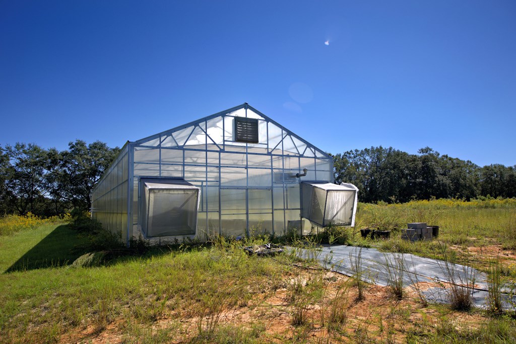 Pavo, Georgia, 31778, United States, ,Residential,For Sale,1988640