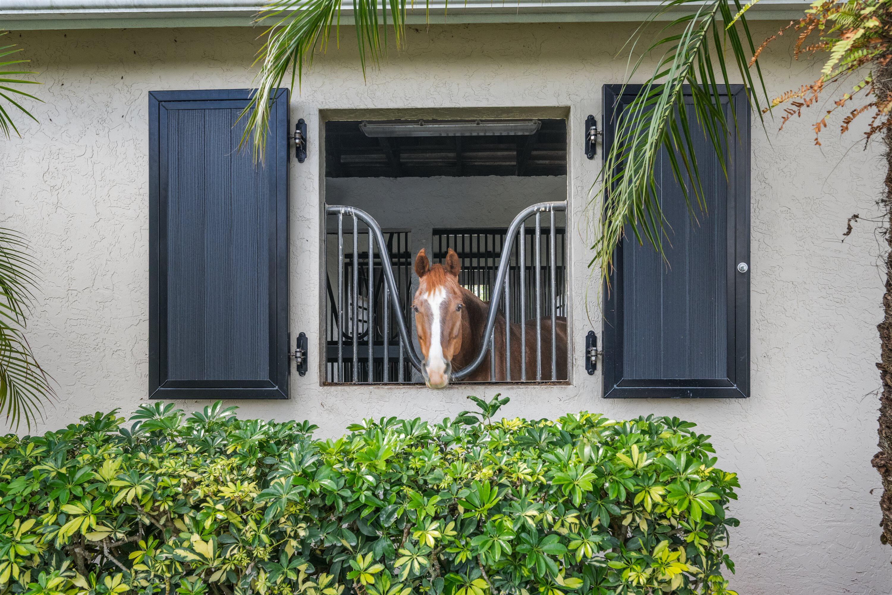  15380 S 46th Ln Lane S - 物件實景