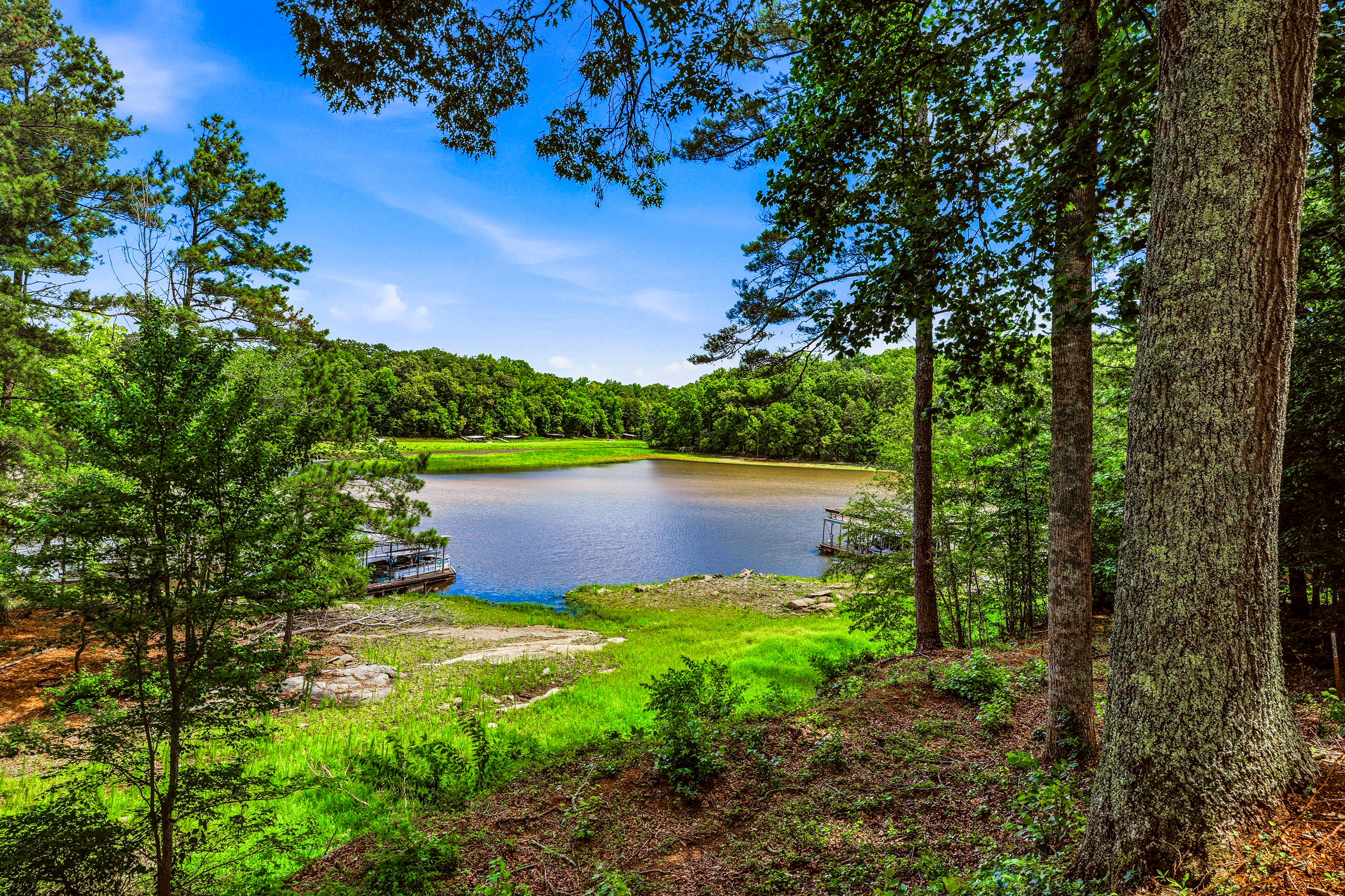 Private Lake Lanier Retreat - 物件實景