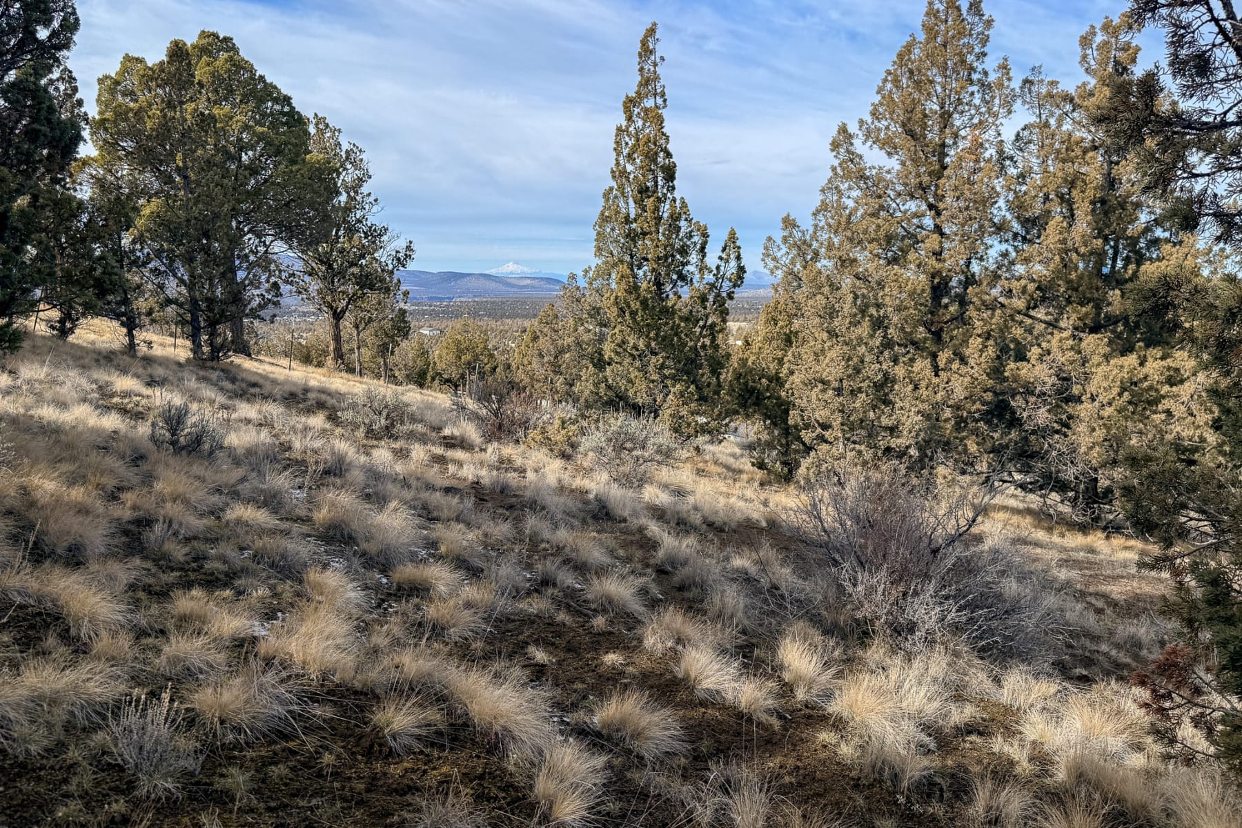  2600 SE TL 2600 Seneca Road Prineville, OR 97754 - 物件實景