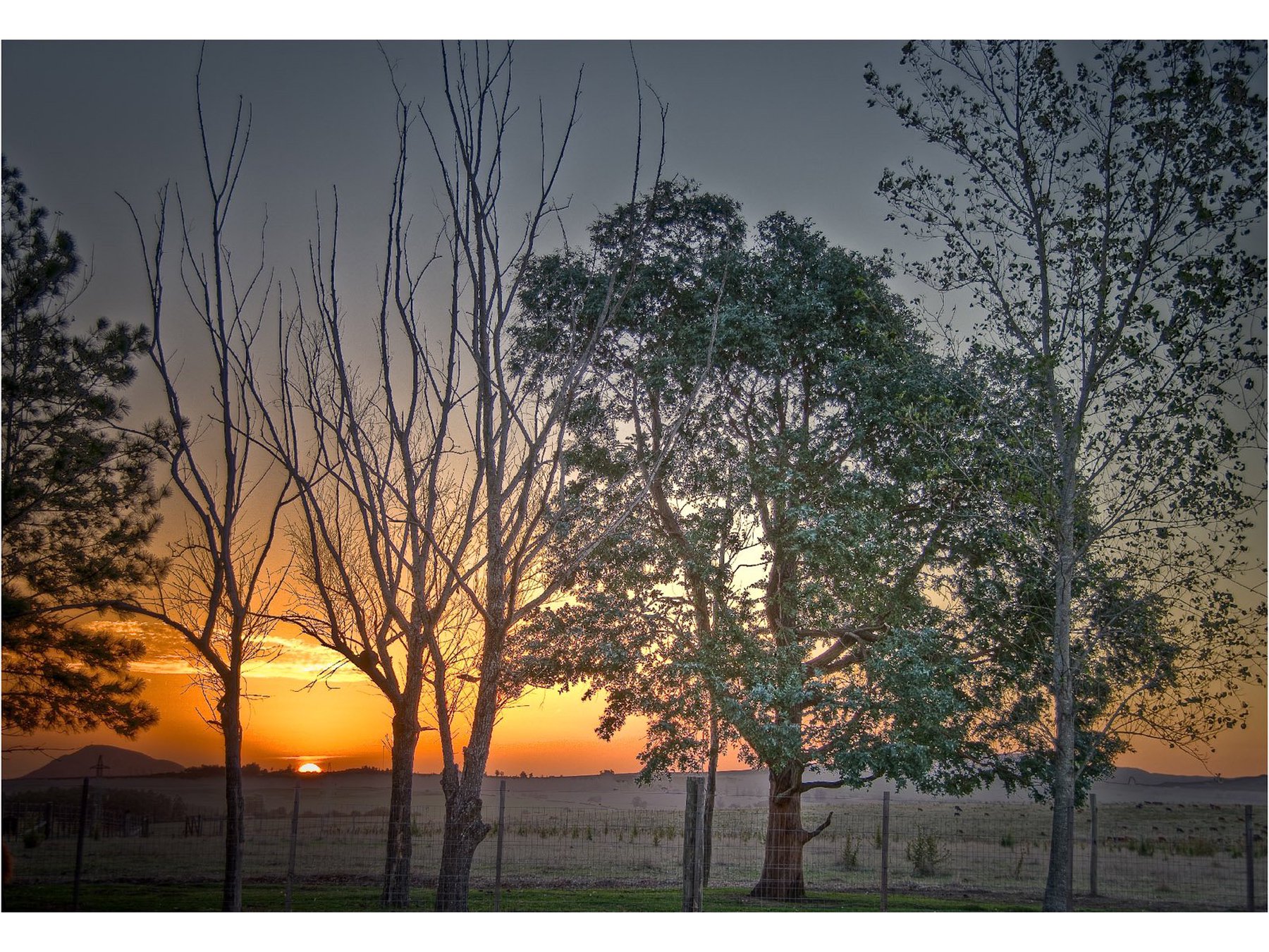  Event Farm in Laguna del Sauce - 物件實景