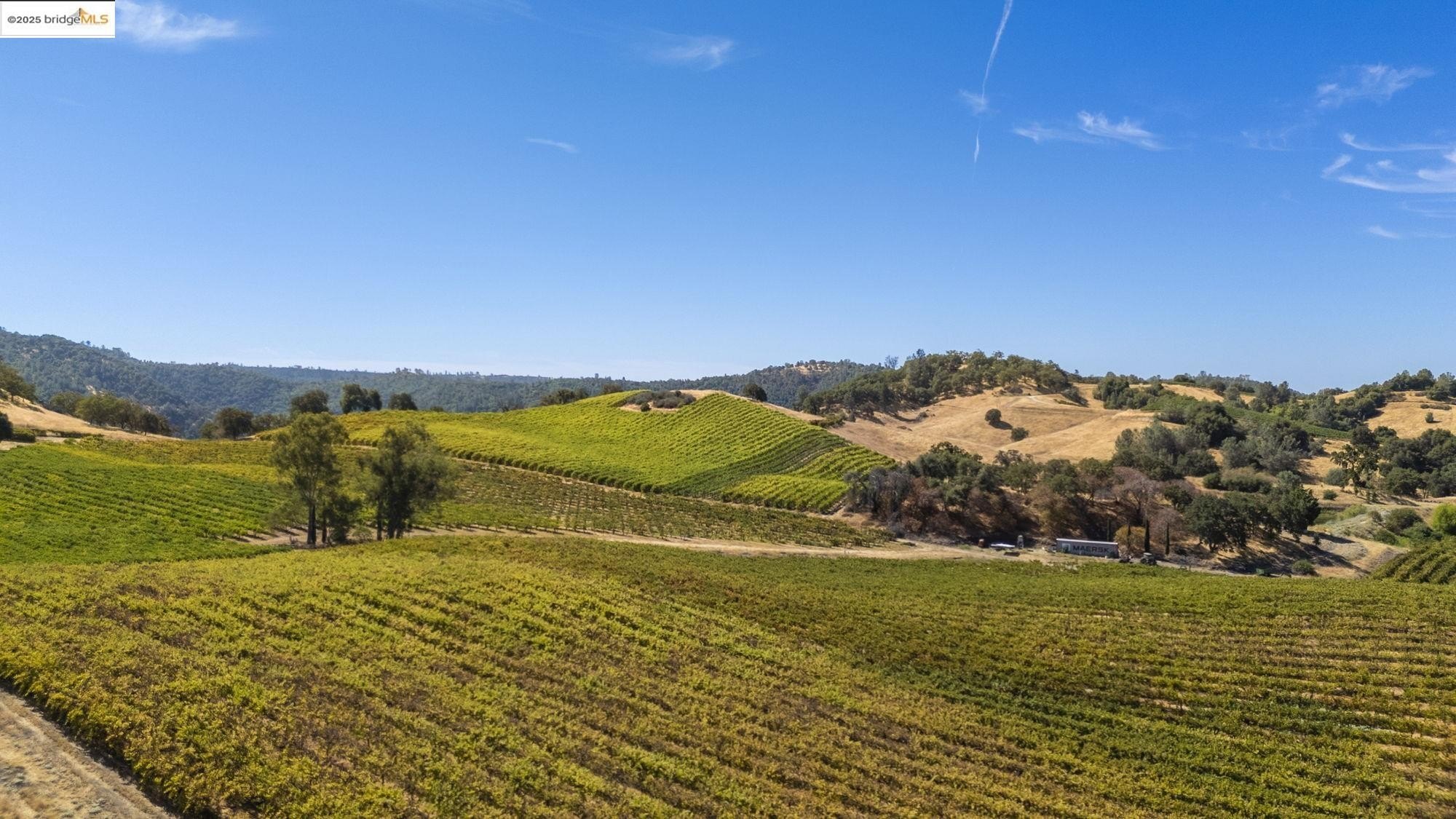Murphys, California, 95247, United States, ,Land,For Sale,1975931