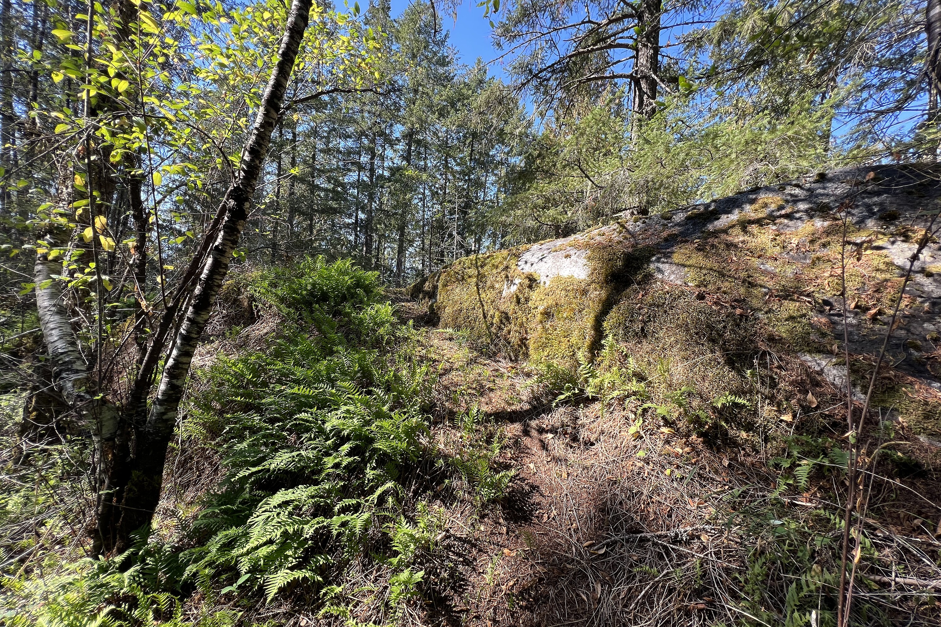  Sechelt, Sunshine Coast - 物件實景
