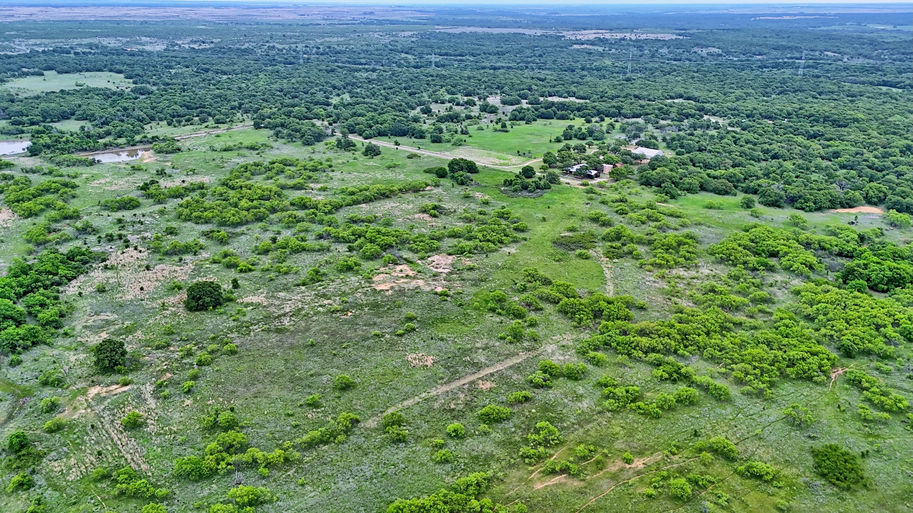  95 Acres in Clay County - 物件實景